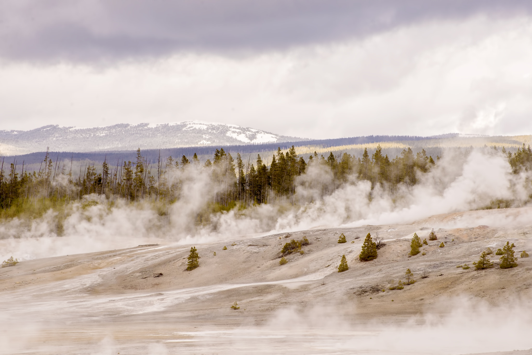 Nikon D600 sample photo. Steaming landscape (1) photography