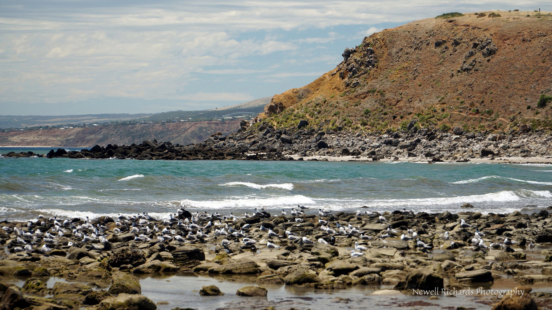 Sony Alpha NEX-6 + Sony E PZ 18-105mm F4 G OSS sample photo. Northern end myponga beach & crested terns (large) photography