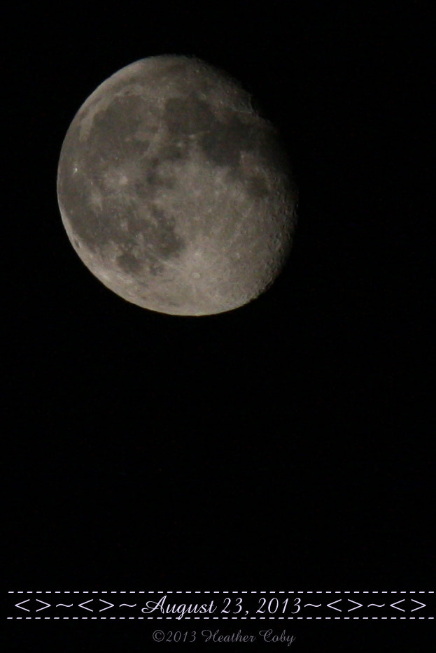 Canon EF-S 55-250mm F4-5.6 IS sample photo. Img_8737.jpg photography