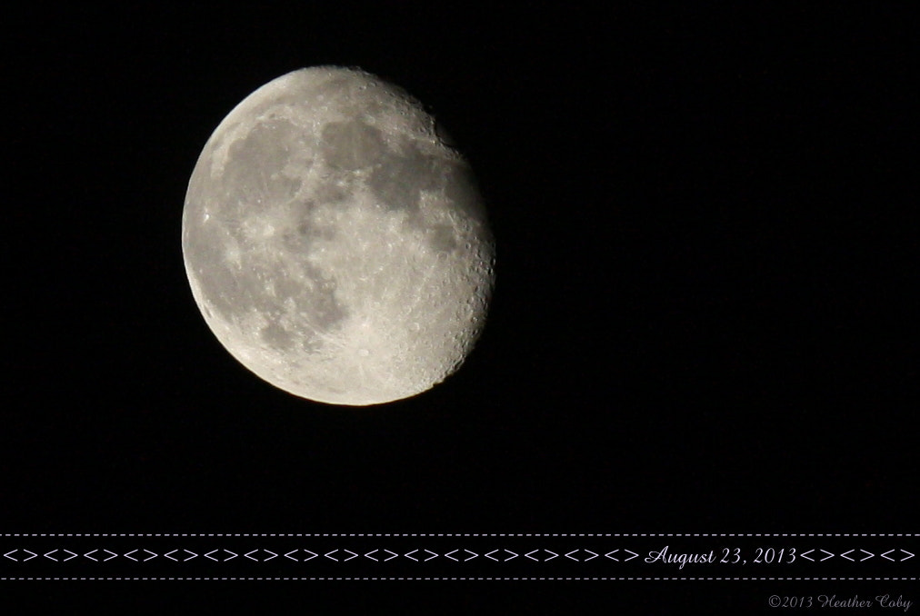 Canon EF-S 55-250mm F4-5.6 IS sample photo. Img_8735.jpg photography