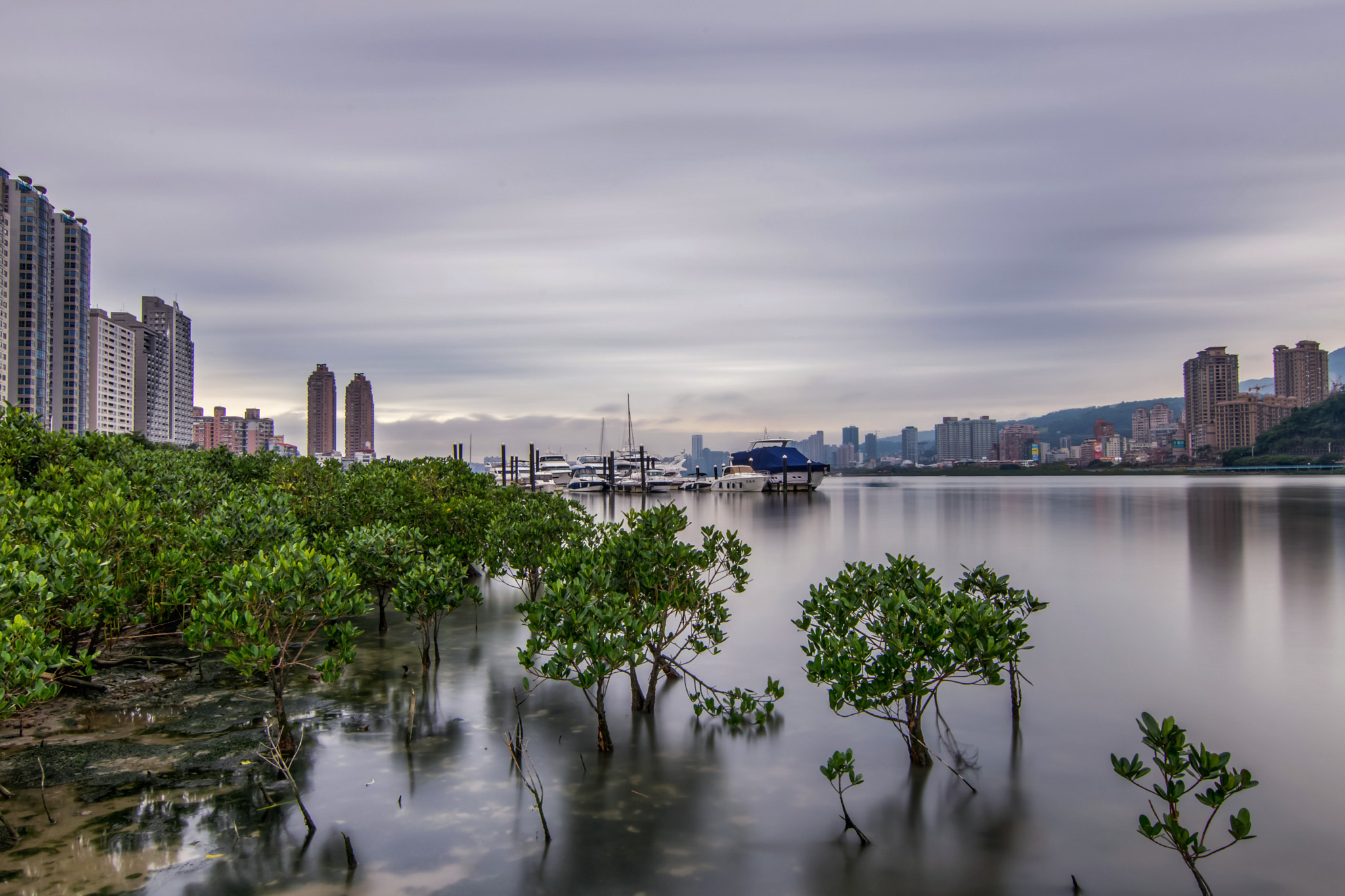 Tokina AT-X Pro 11-16mm F2.8 DX II sample photo. 八里左岸 photography