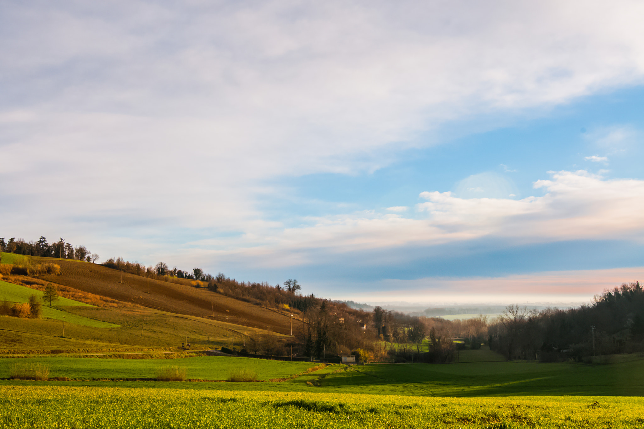 Nikon D300 sample photo. Cannarelle photography