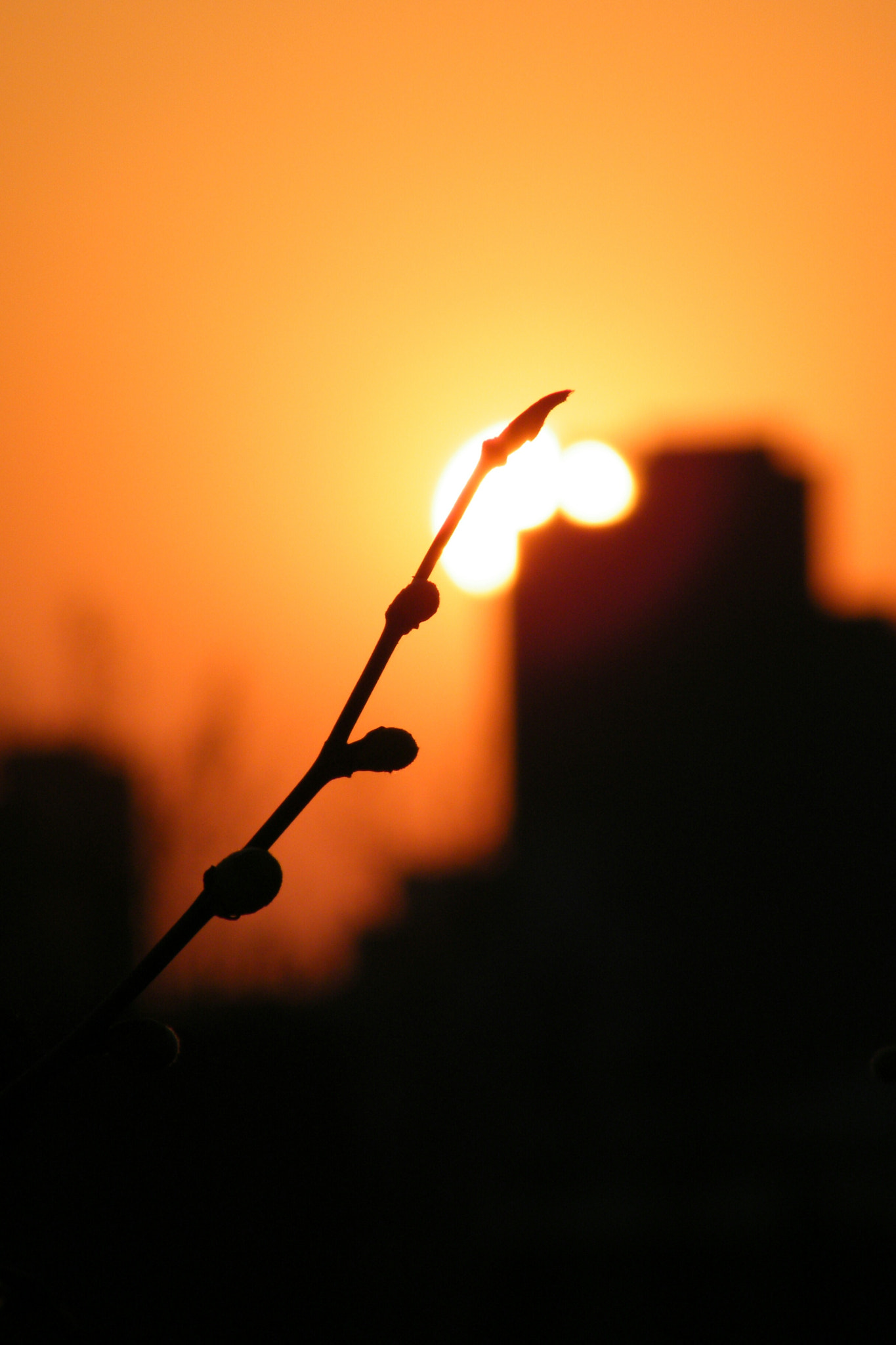 Fujifilm FinePix S2000HD sample photo