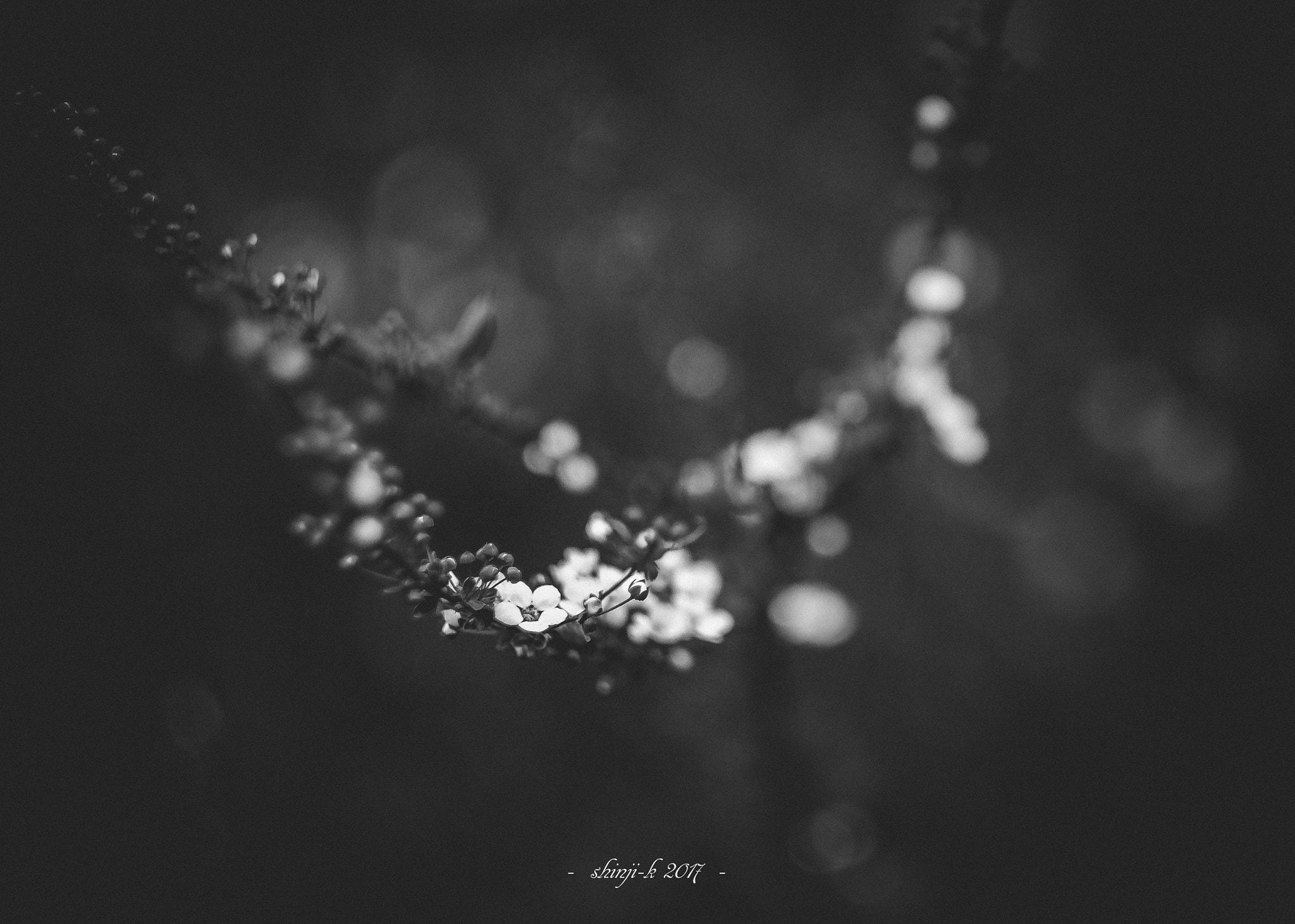 Fujifilm X-T2 + Fujifilm XF 56mm F1.2 R sample photo. Cold day photography