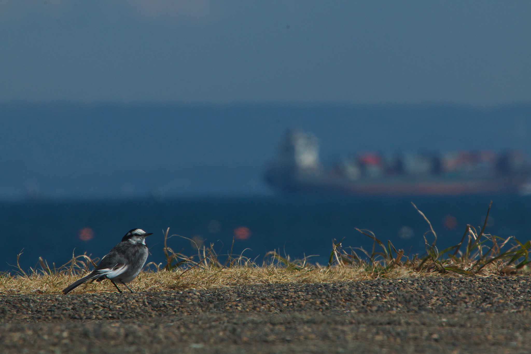 Canon EF 70-200mm F2.8L IS USM sample photo. Calm sea of spring photography