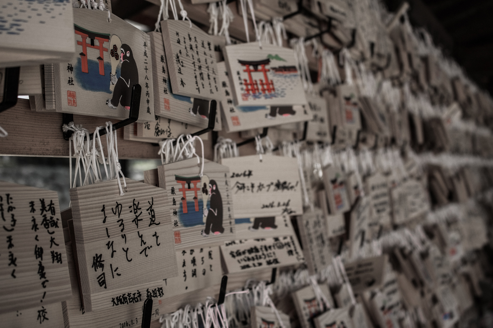 Canon EOS 760D (EOS Rebel T6s / EOS 8000D) sample photo. Wishes photography