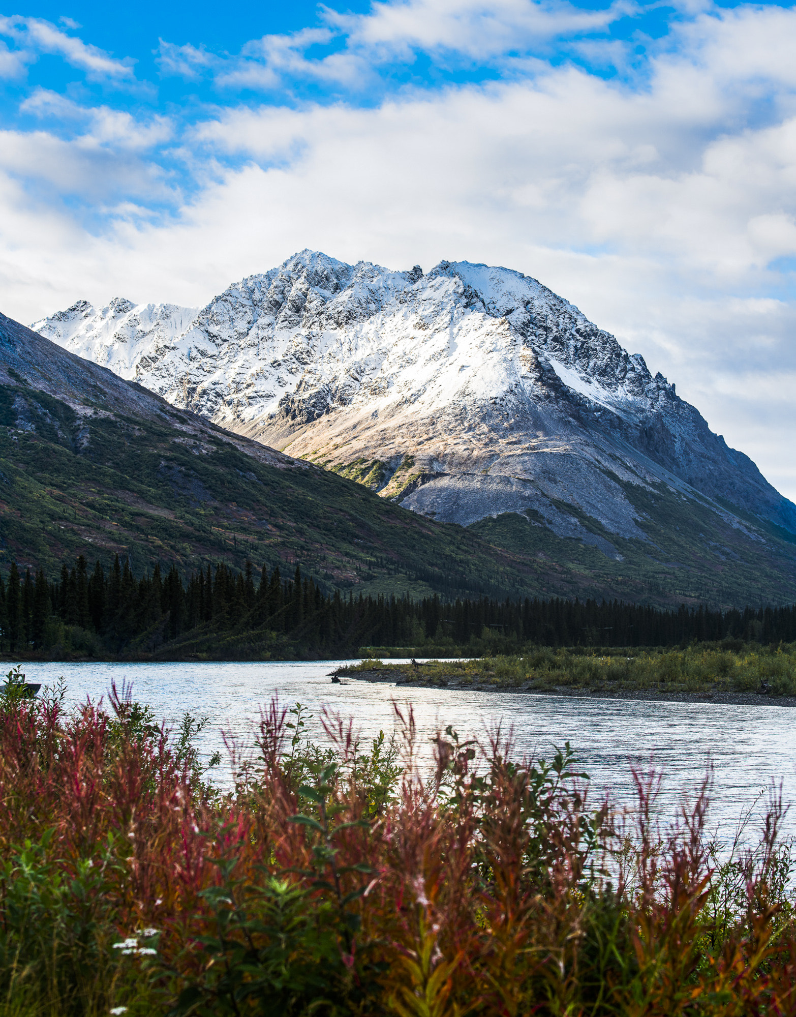 Nikon D800 + Nikon AF-S Nikkor 70-200mm F4G ED VR sample photo. Fall in denali park alaska photography