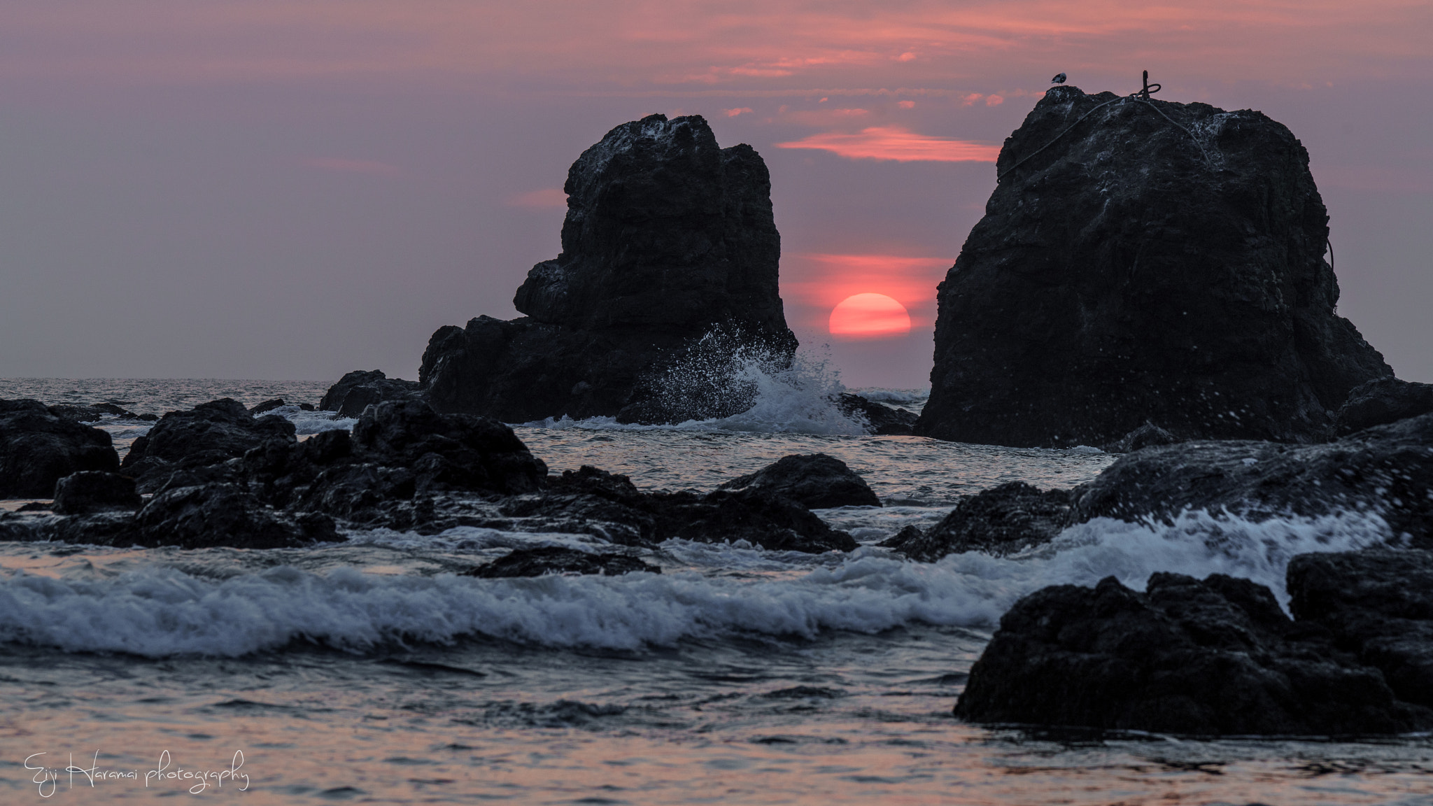 Sony a99 II + Sony 70-400mm F4-5.6 G SSM II sample photo. 紅く染まり photography