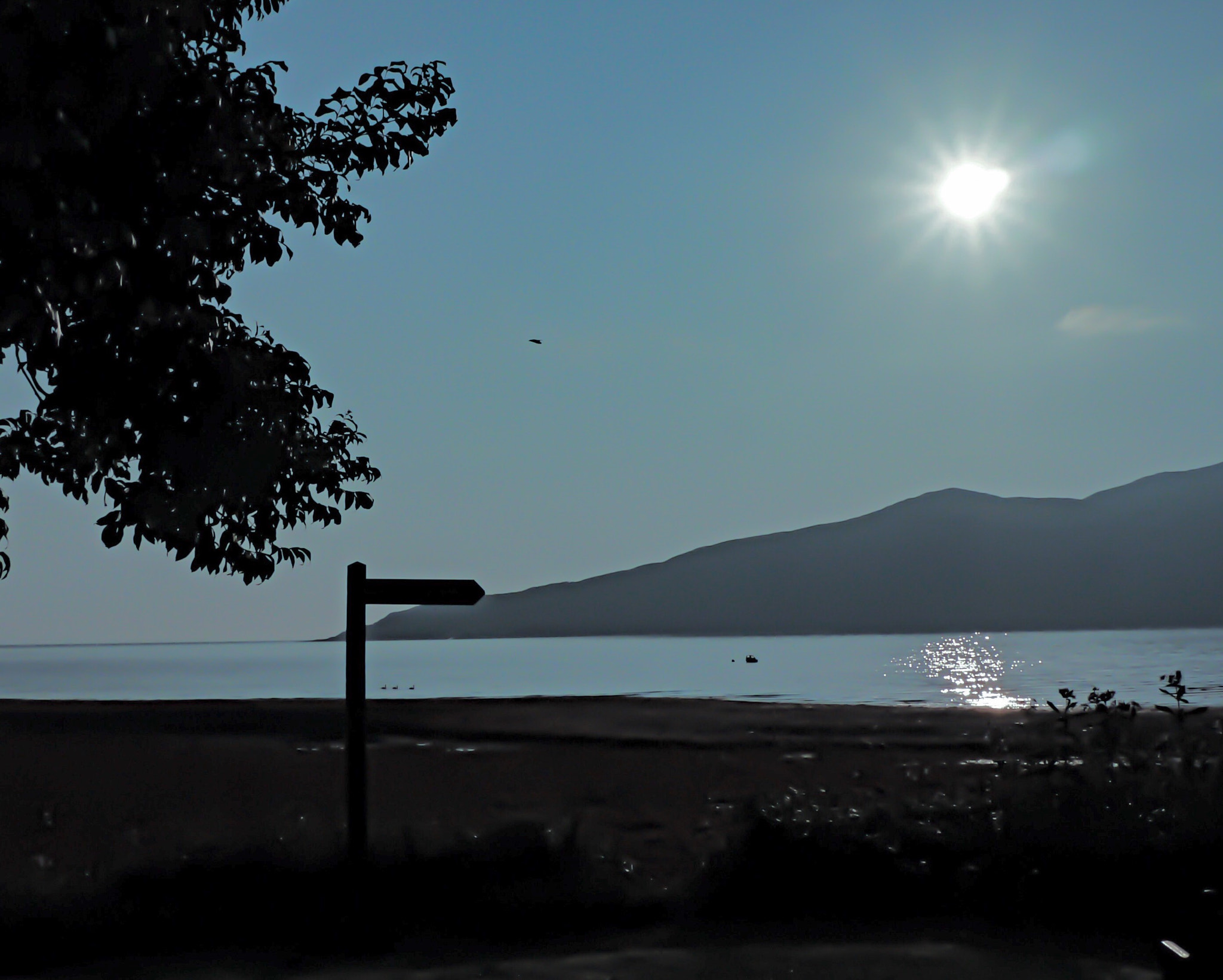 Panasonic Lumix DMC-G5 sample photo. Holy isle photography