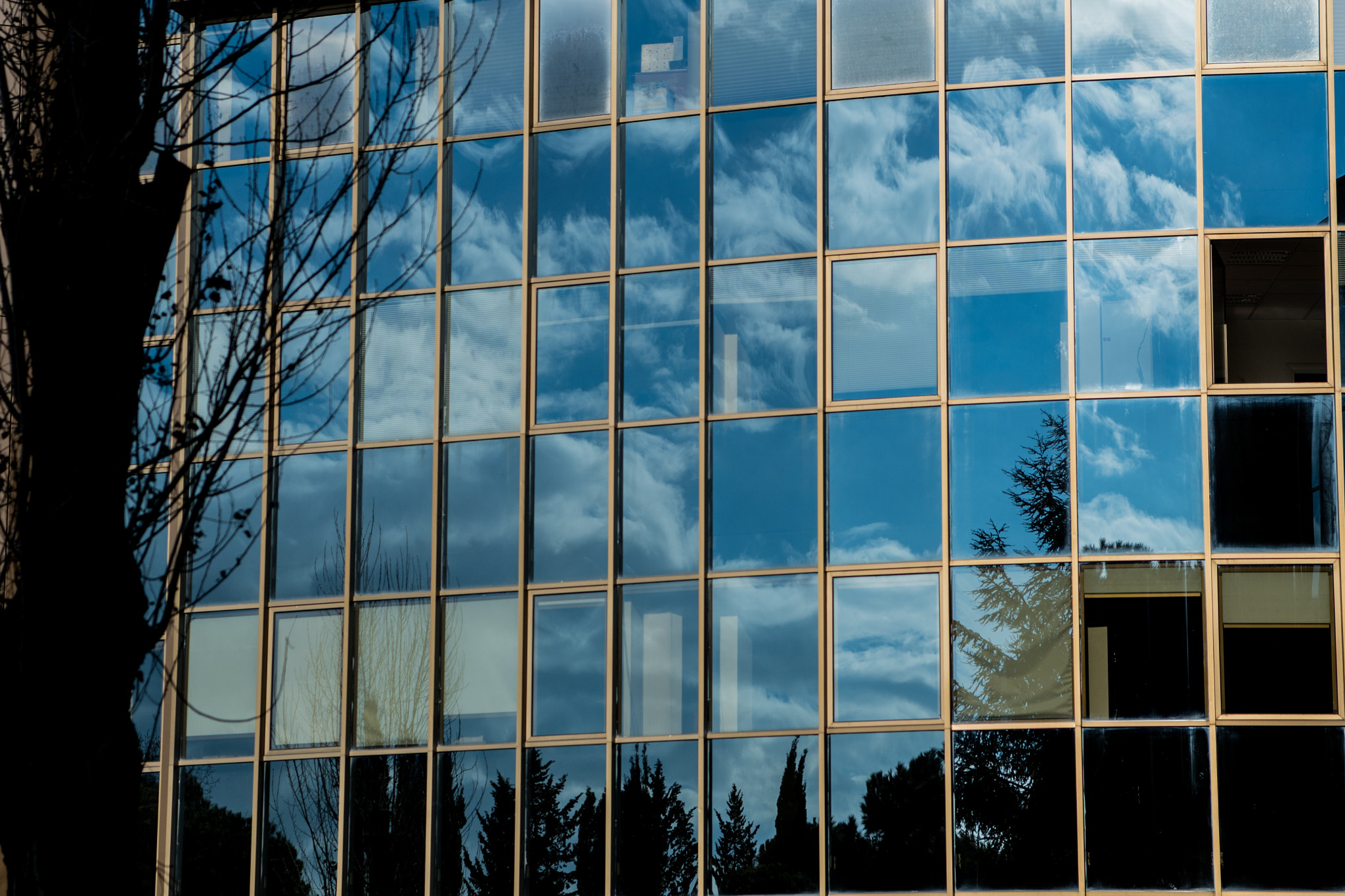 Nikon D500 + Sigma 24-70mm F2.8 EX DG Macro sample photo. Reflections through office glass photography