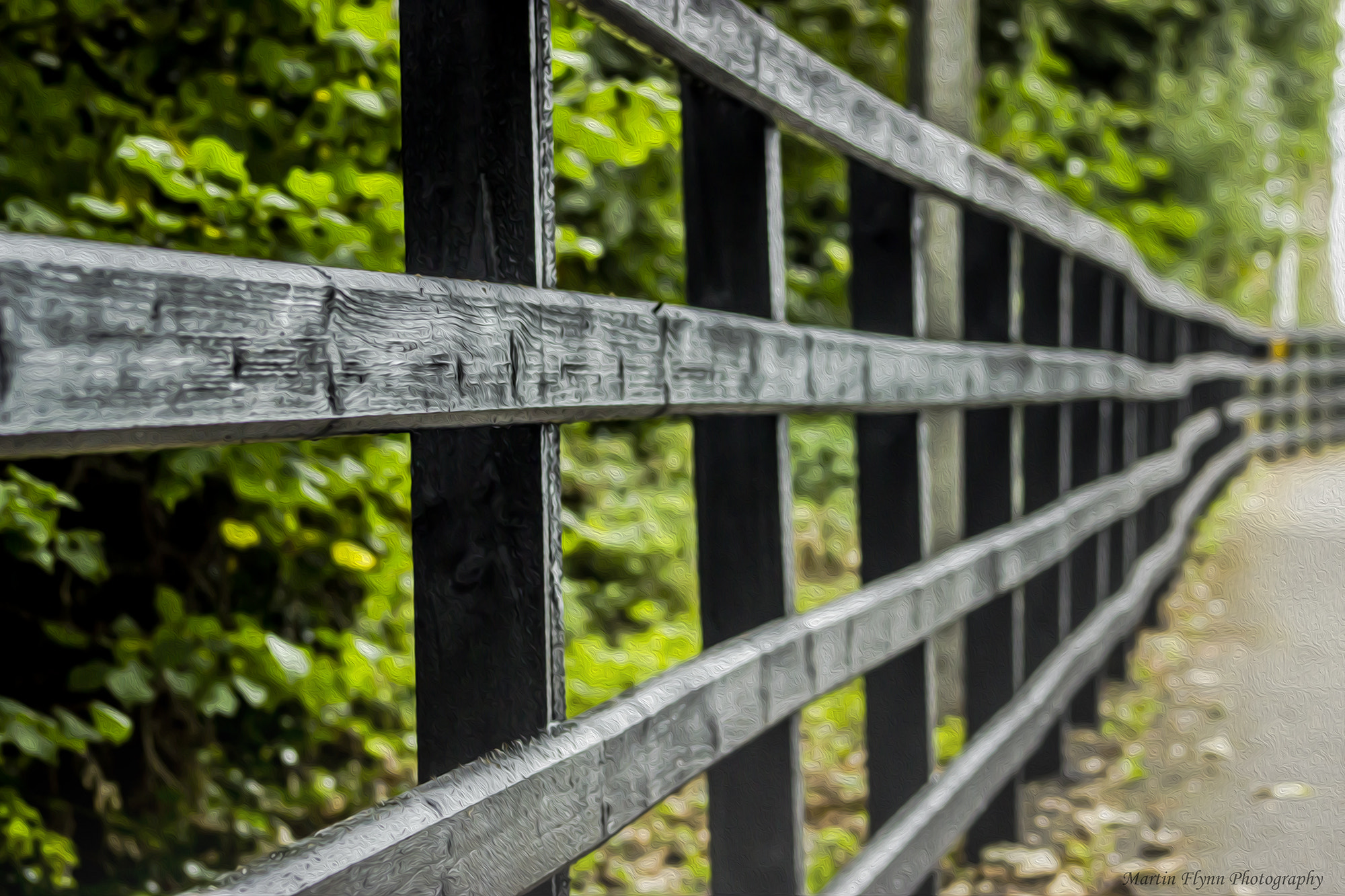 Canon EOS 600D (Rebel EOS T3i / EOS Kiss X5) + EF75-300mm f/4-5.6 sample photo. Fence along the path photography