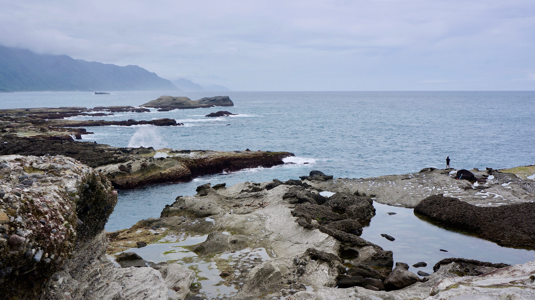 Tamron 18-200mm F3.5-6.3 Di III VC sample photo. Fisher on rocky coast, hualien, taiwan photography