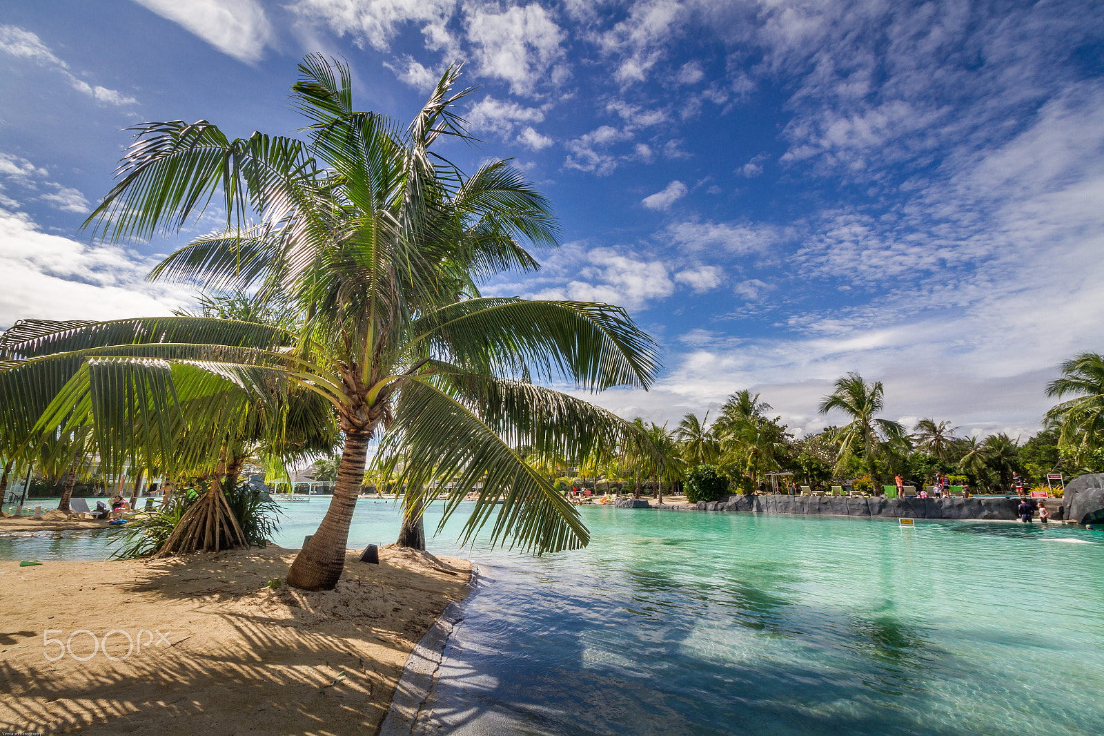 Canon EOS 7D + Canon EF-S 10-18mm F4.5–5.6 IS STM sample photo. Coconut tree photography