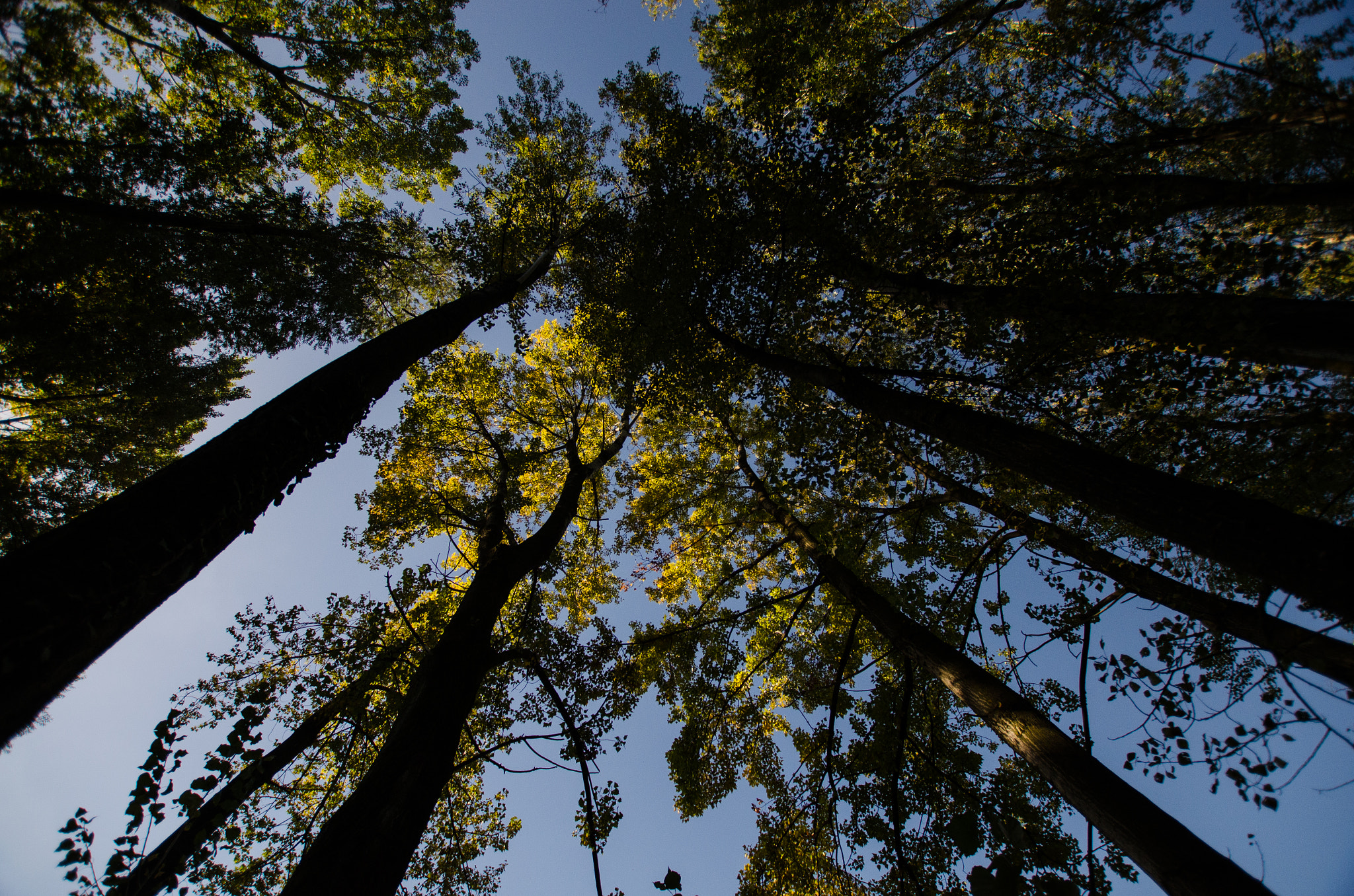 Nikon D7000 + Sigma 10-20mm F3.5 EX DC HSM sample photo. From the bottom to the top photography