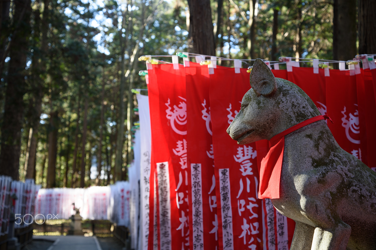 Nikon Df sample photo. Keep watching photography