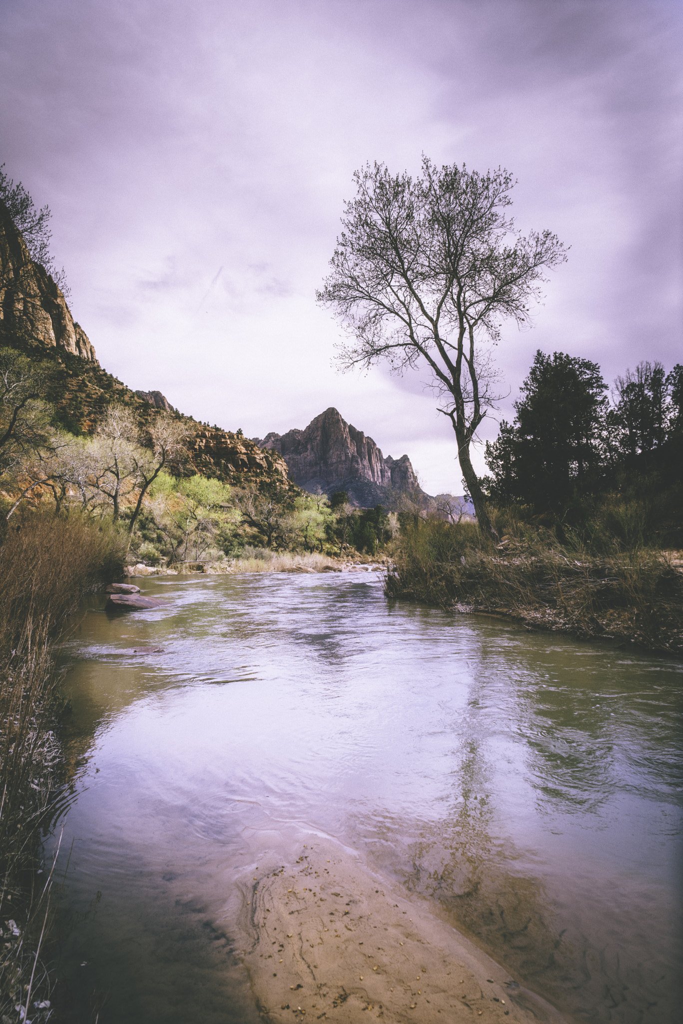Sony a7R + Sony Vario Tessar T* FE 24-70mm F4 ZA OSS sample photo. Zion national park xxi photography