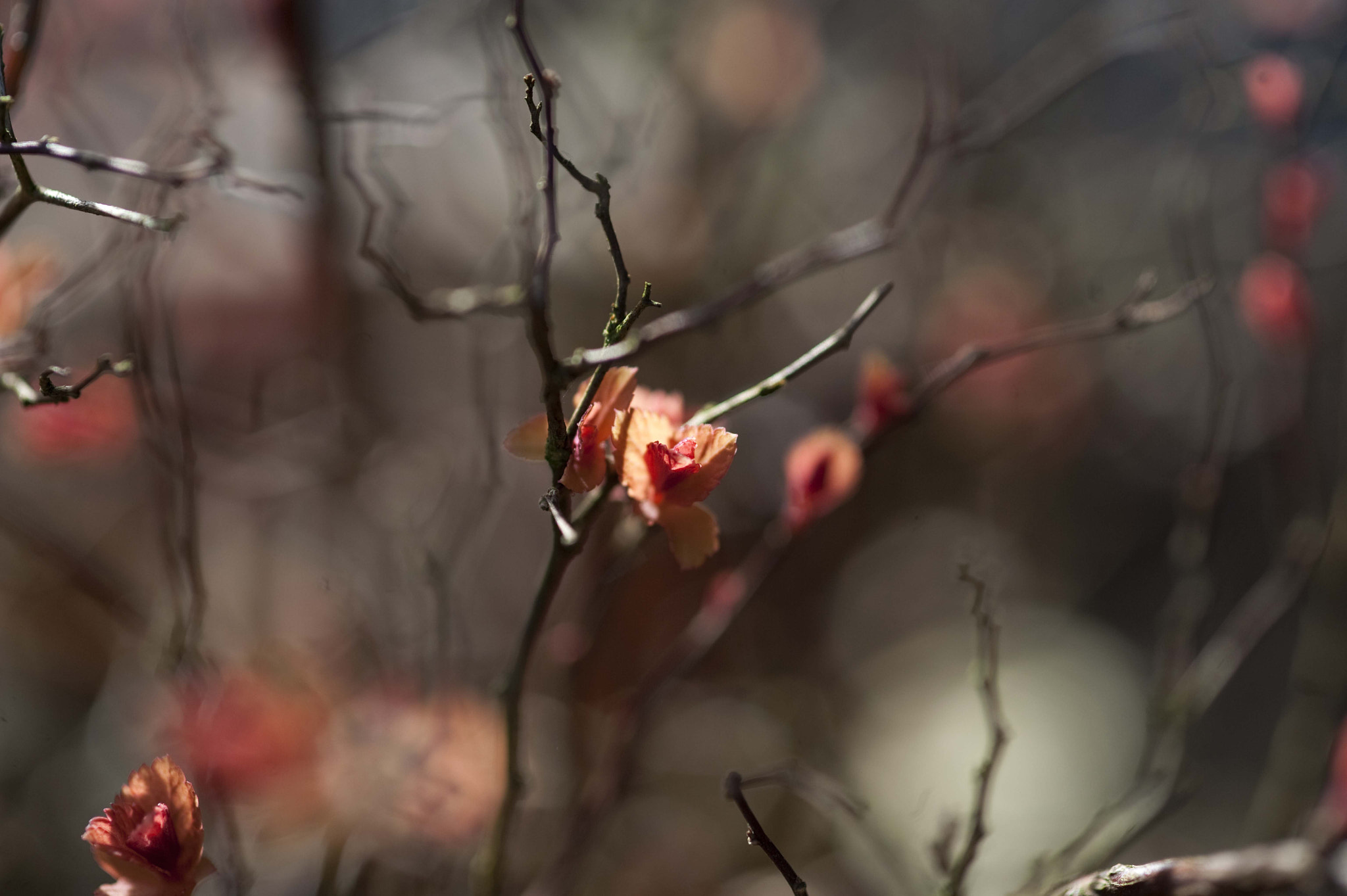 Nikon D3 sample photo. Onlycolors photography