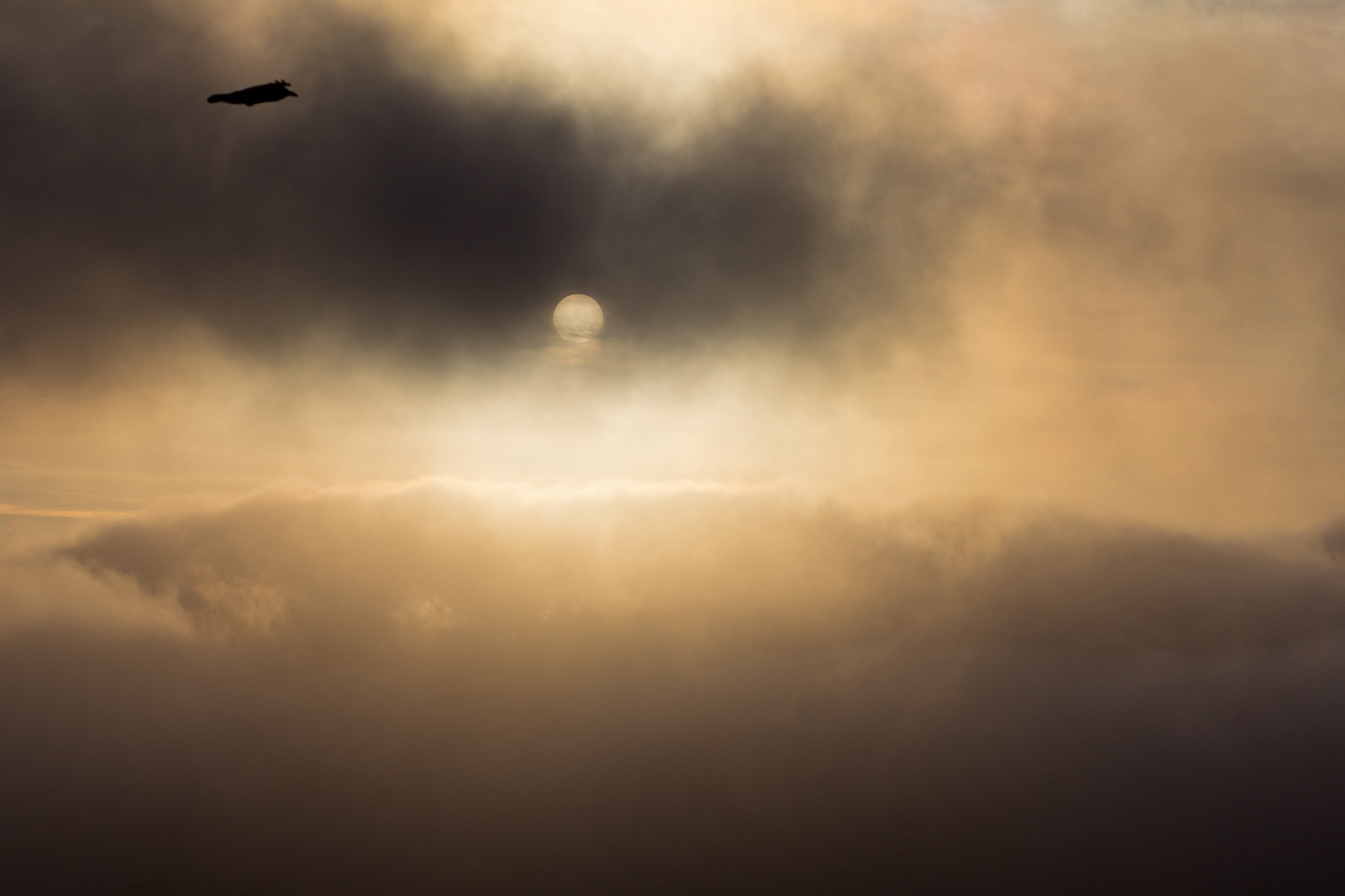 Canon EOS 60D + Canon EF 85mm F1.8 USM sample photo. Obscured by clouds photography