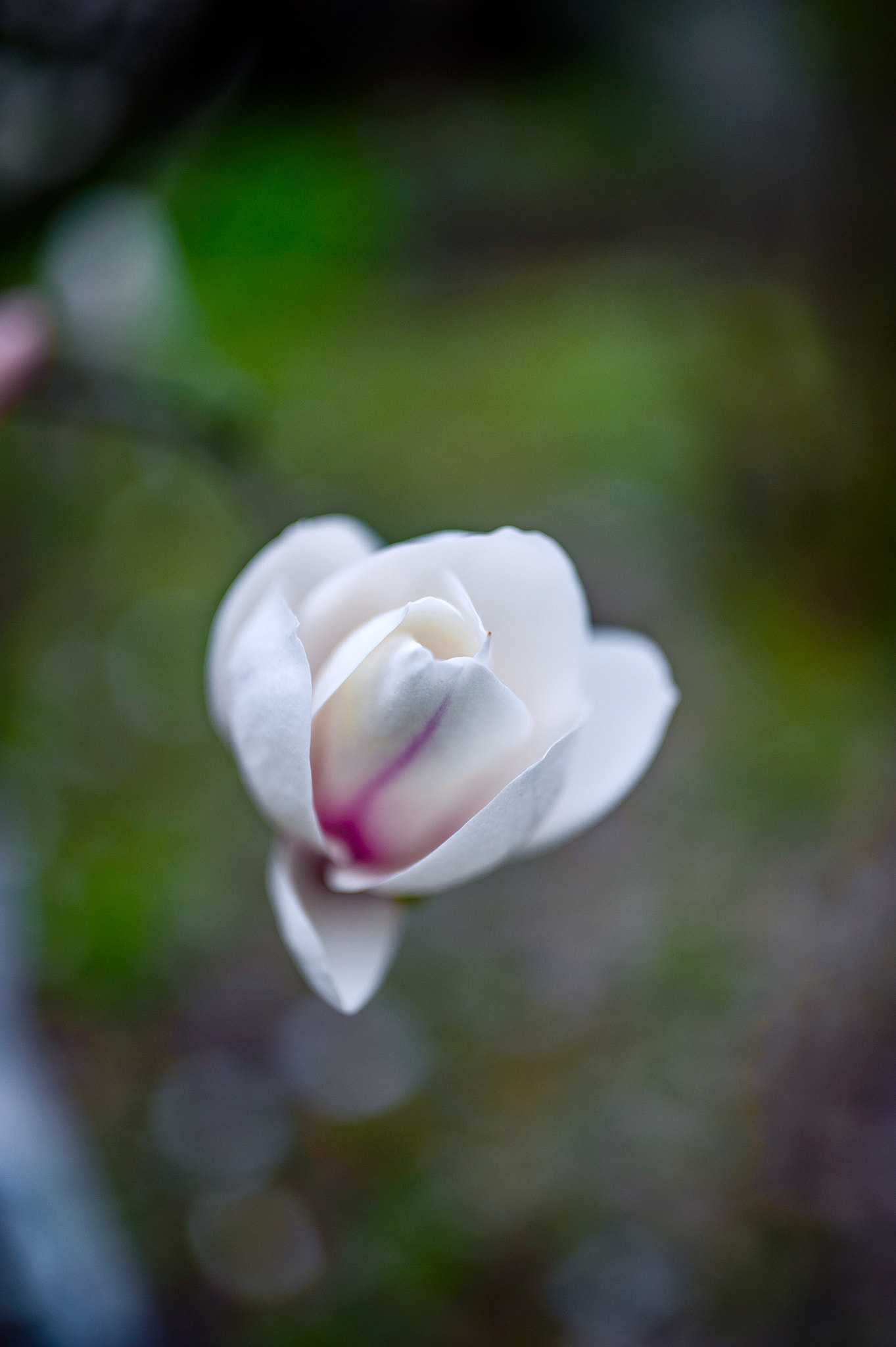 Nikon D700 + Sigma 35mm F1.4 DG HSM Art sample photo