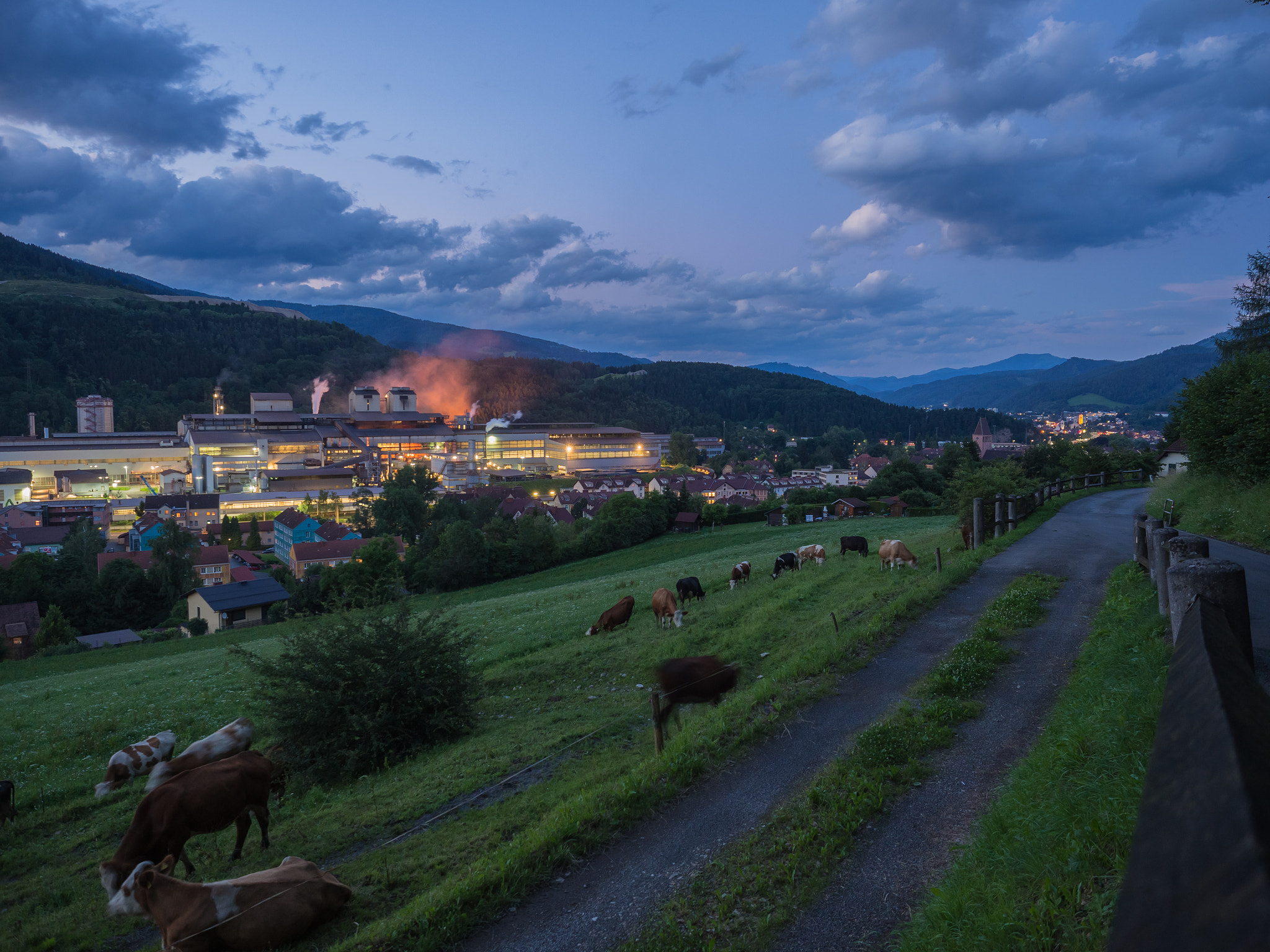 Olympus OM-D E-M10 + Olympus M.Zuiko Digital ED 12-40mm F2.8 Pro sample photo. Cows and steelmaking photography