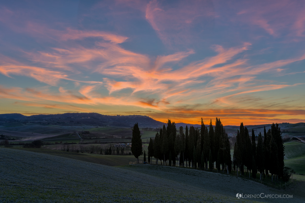Nikon Df + Sigma 35mm F1.4 DG HSM Art sample photo. Tuscan landscapes photography