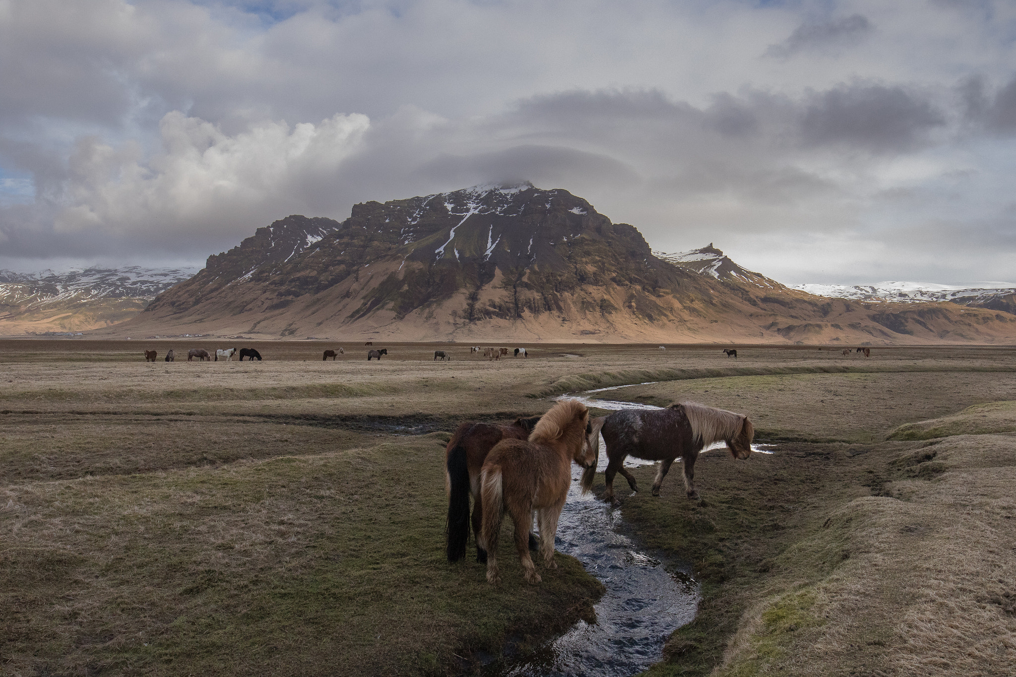 Canon EOS 7D Mark II + Canon EF 16-35mm F4L IS USM sample photo. Icelandic atmosphere photography