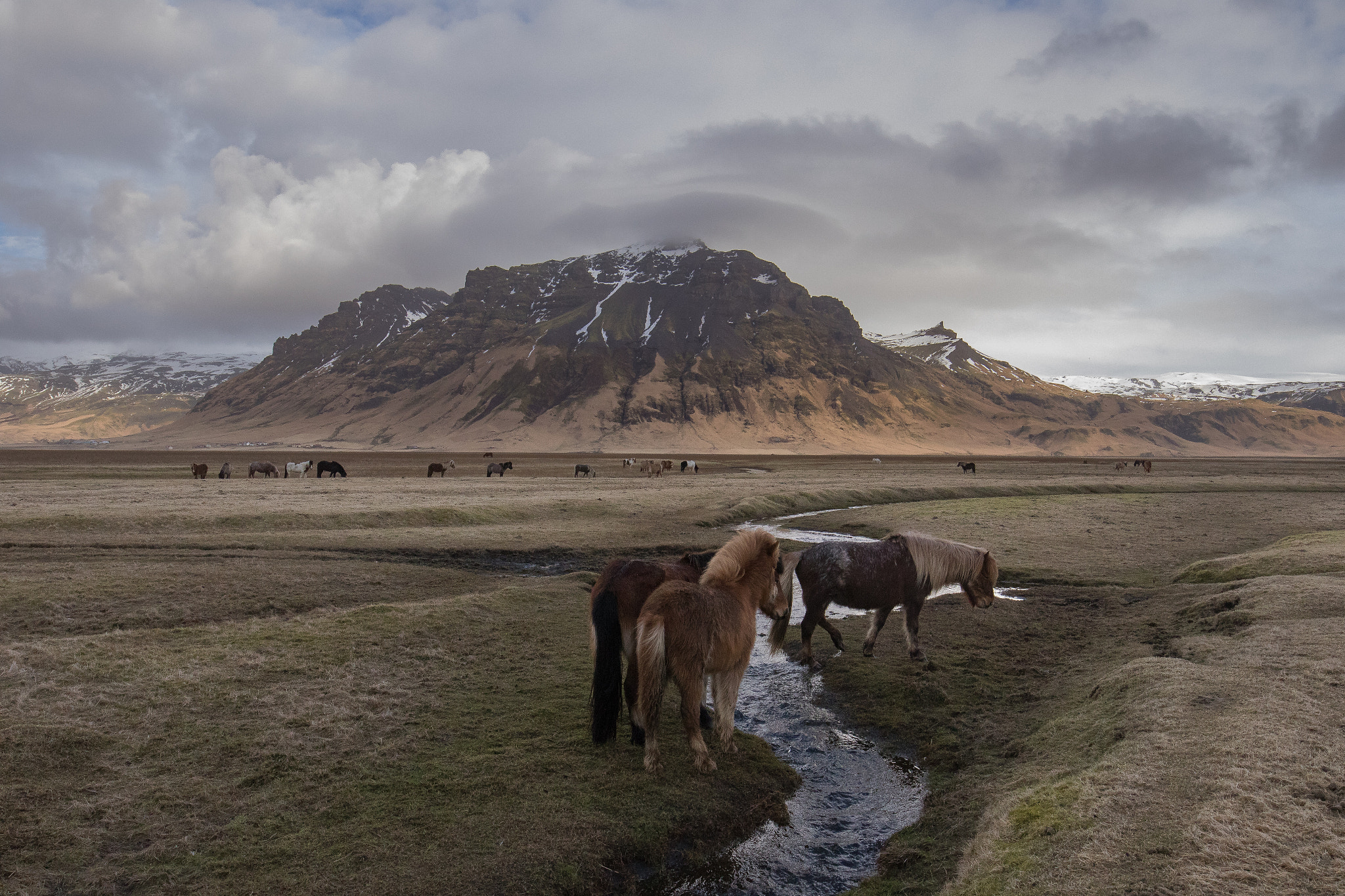 Canon EF 16-35mm F4L IS USM sample photo. Icelandic atmosphere photography