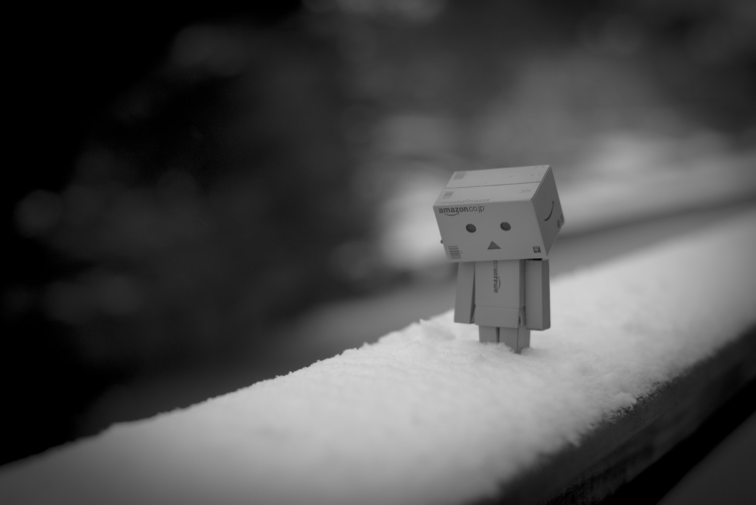 Nikon D600 + Nikon AF-S Nikkor 50mm F1.8G sample photo. Danbo photography