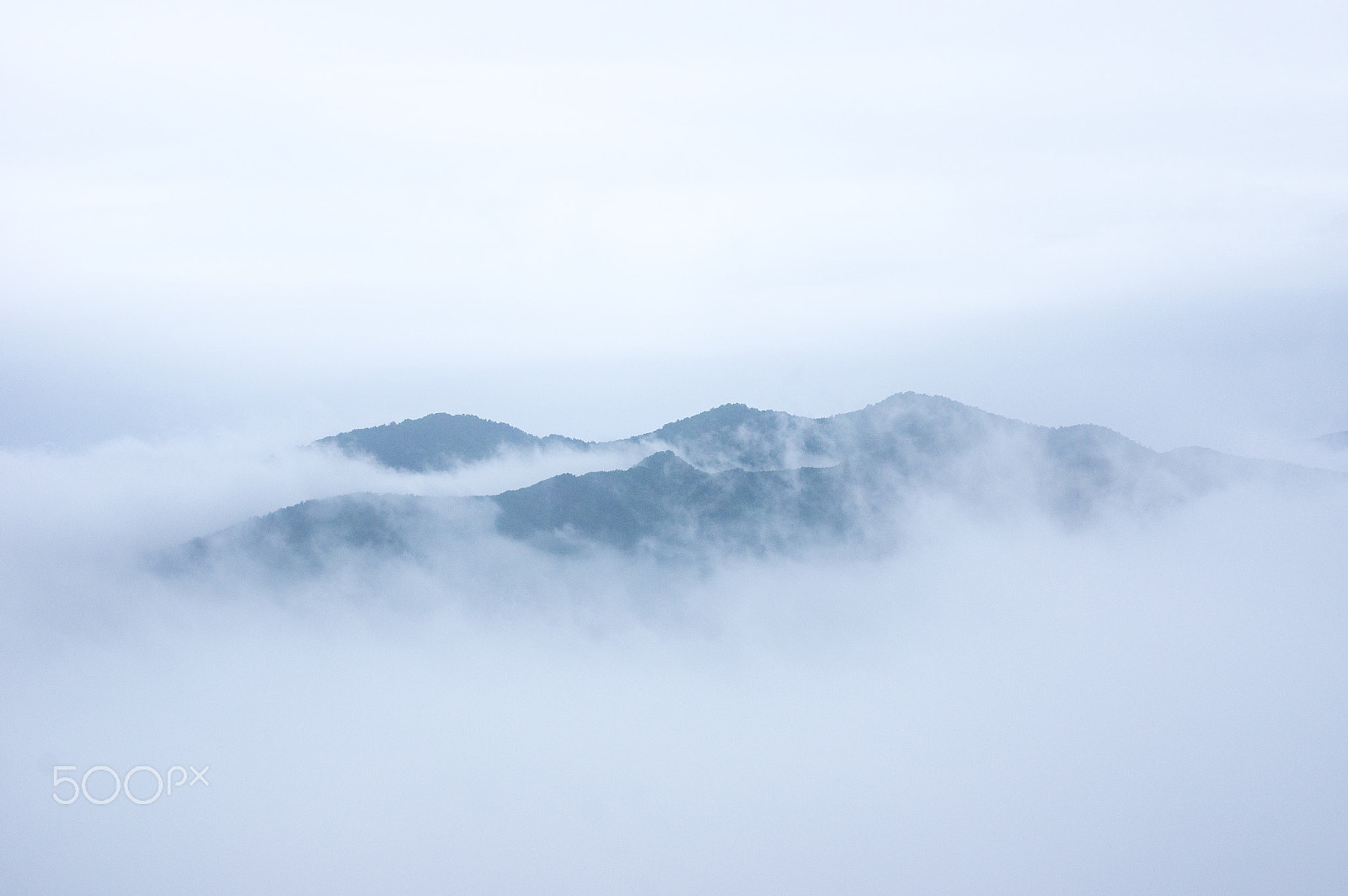 Sony SLT-A55 (SLT-A55V) + Sony DT 16-50mm F2.8 SSM sample photo. Morning mist photography