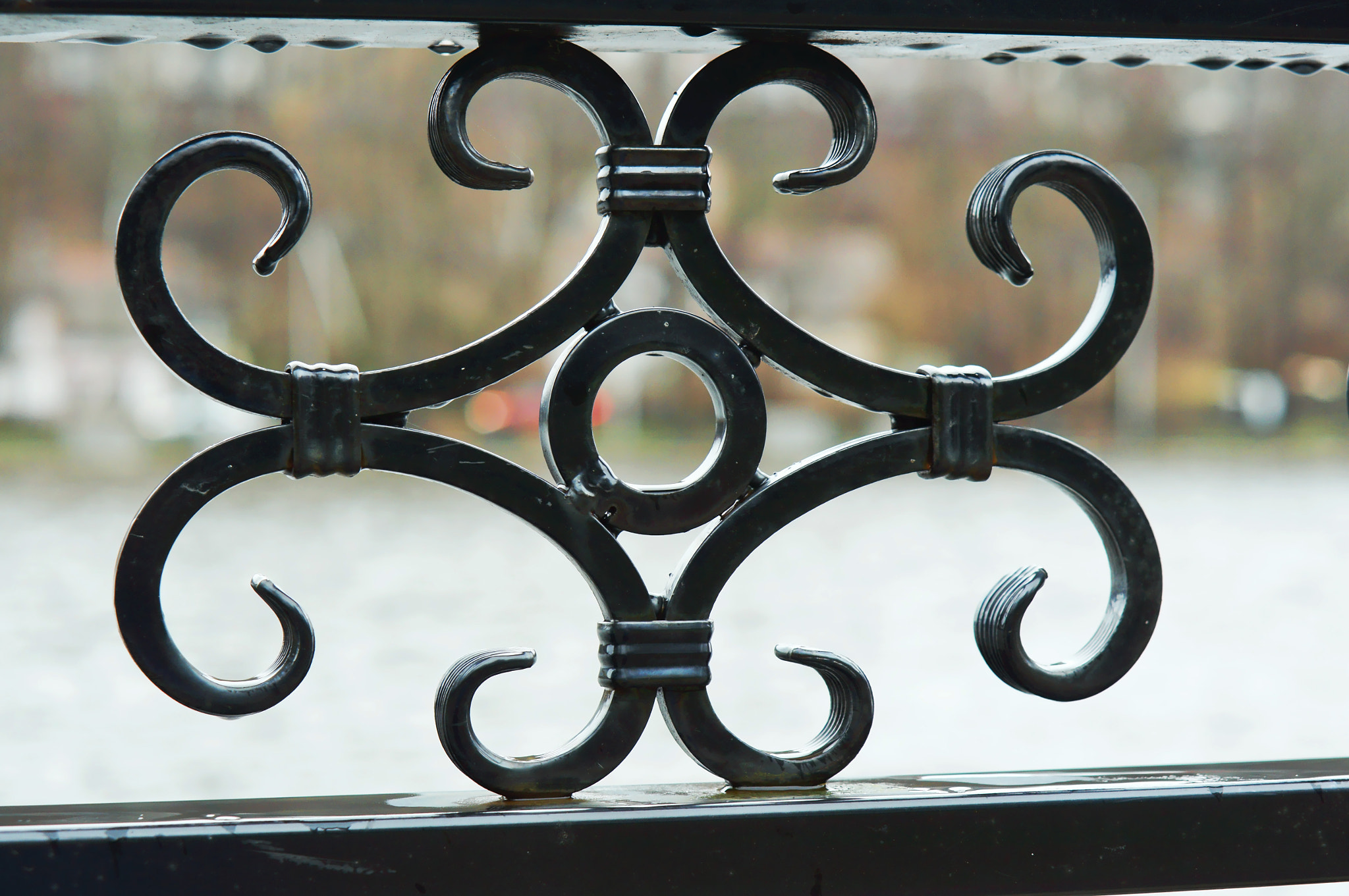 Sony Alpha NEX-3N sample photo. The elements of forging, wrought-iron fence photography