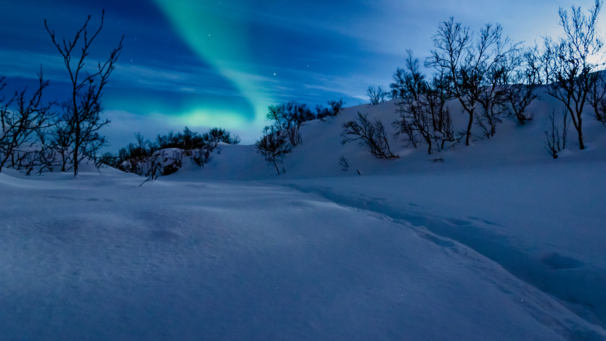 Canon EOS 750D (EOS Rebel T6i / EOS Kiss X8i) sample photo. Sudden aurora photography