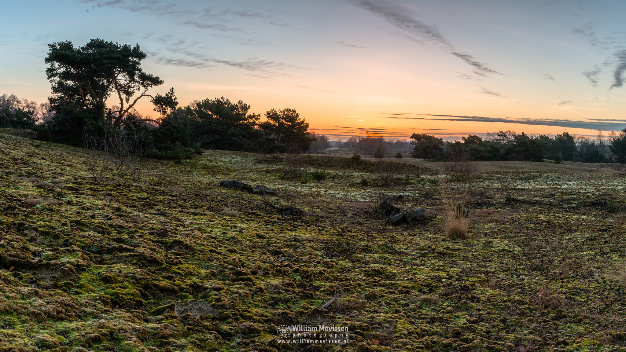 Canon EF 24-70mm F4L IS USM sample photo. Panorama bergerheide sunrise photography