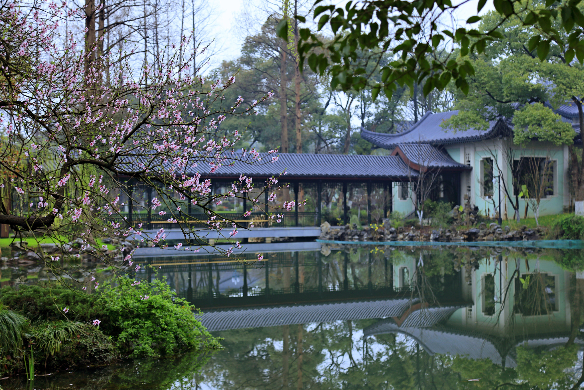 Canon EOS 5DS R sample photo