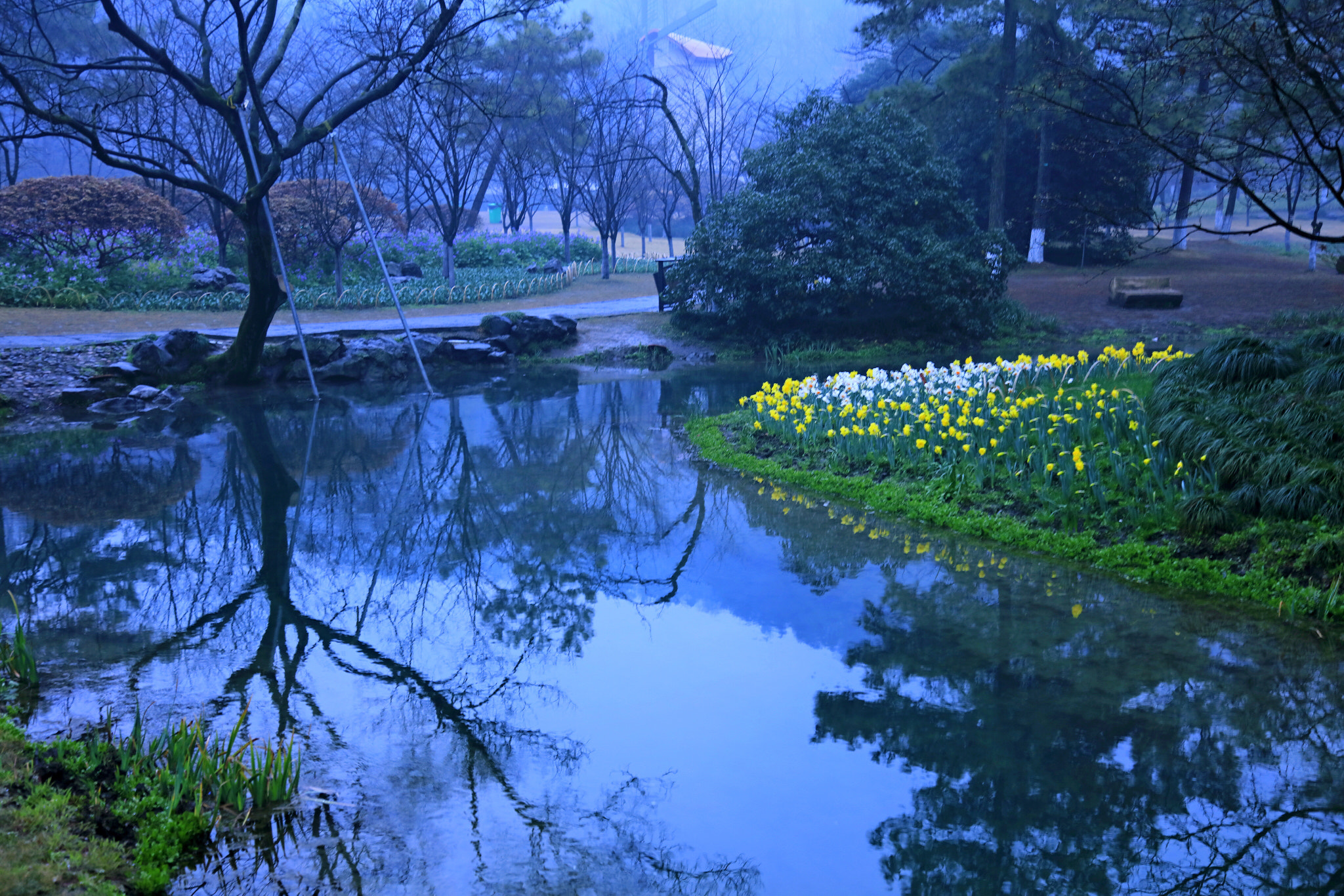Canon EOS 5DS R sample photo