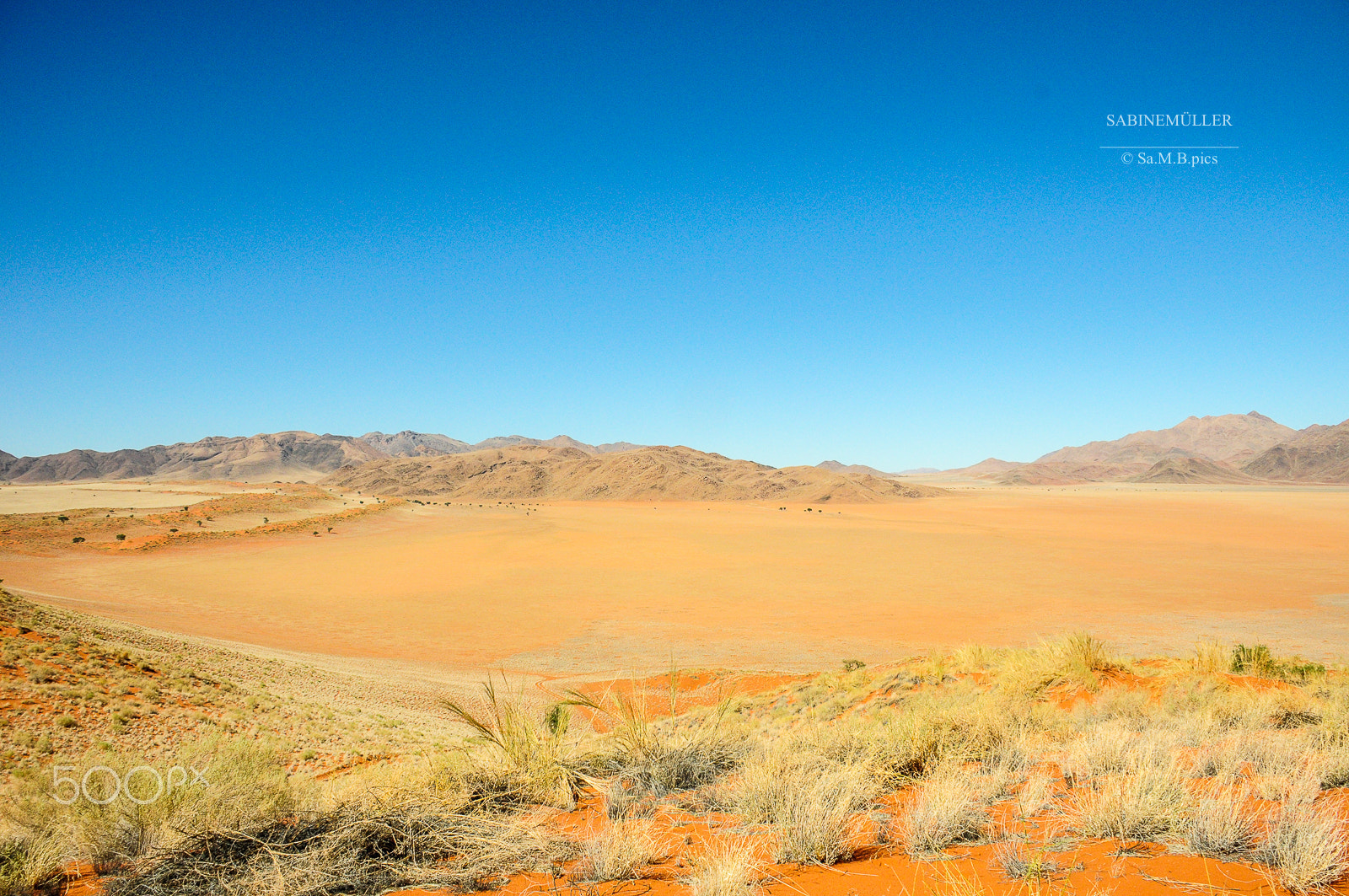 Nikon D300 sample photo. Colours of nature - namibrand photography