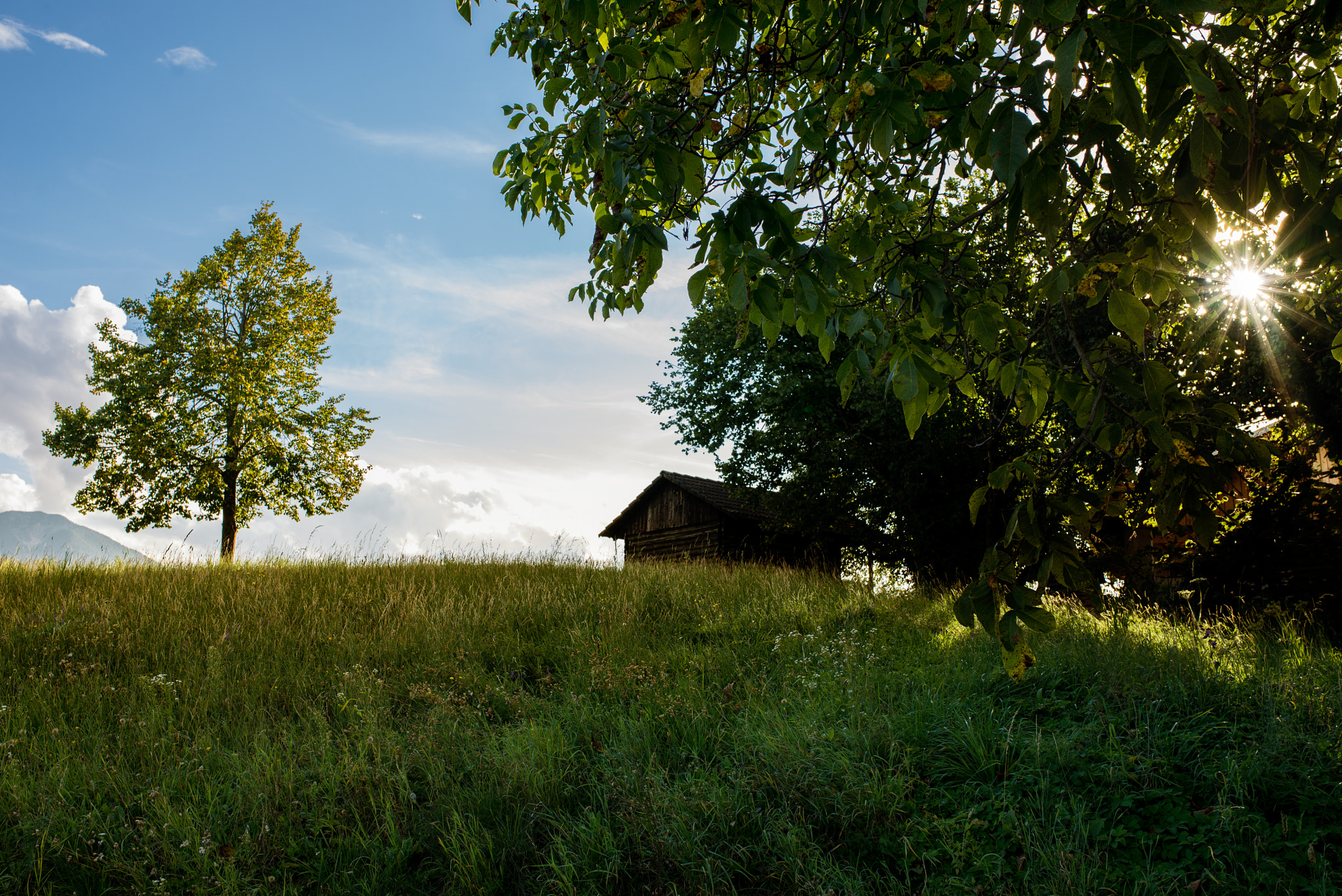 Nikon D610 + Sigma 35mm F1.4 DG HSM Art sample photo. Kärnten - unternarrach photography