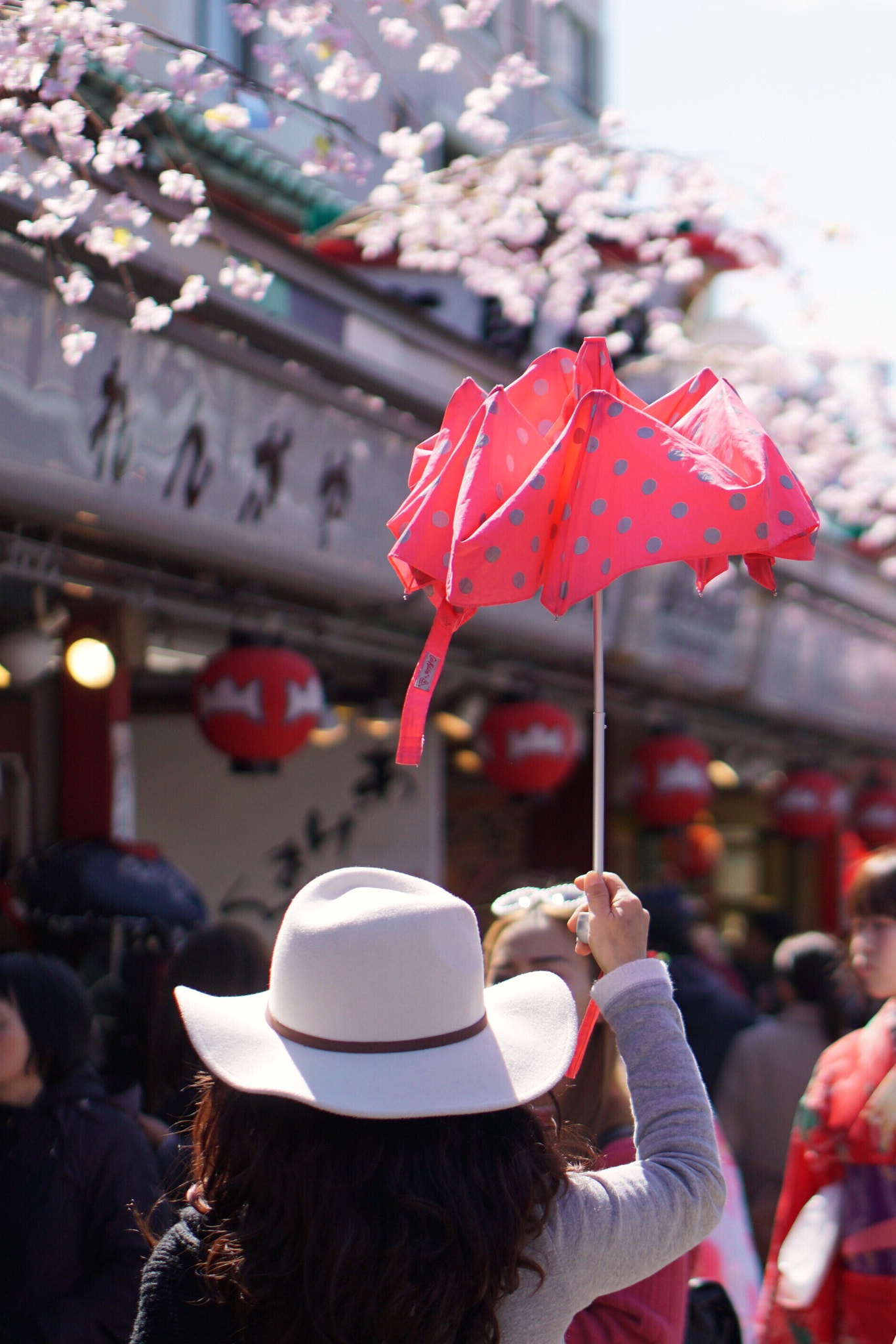 Sony E 50mm F1.8 OSS sample photo. Red umbrella in crowd at asakusa photography