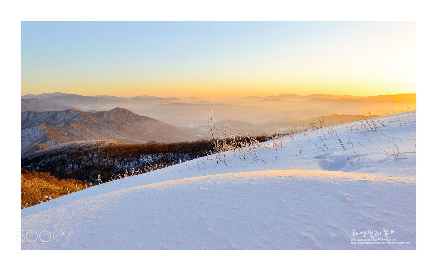 Nikon AF-S Nikkor 17-35mm F2.8D ED-IF sample photo. Golden hill photography
