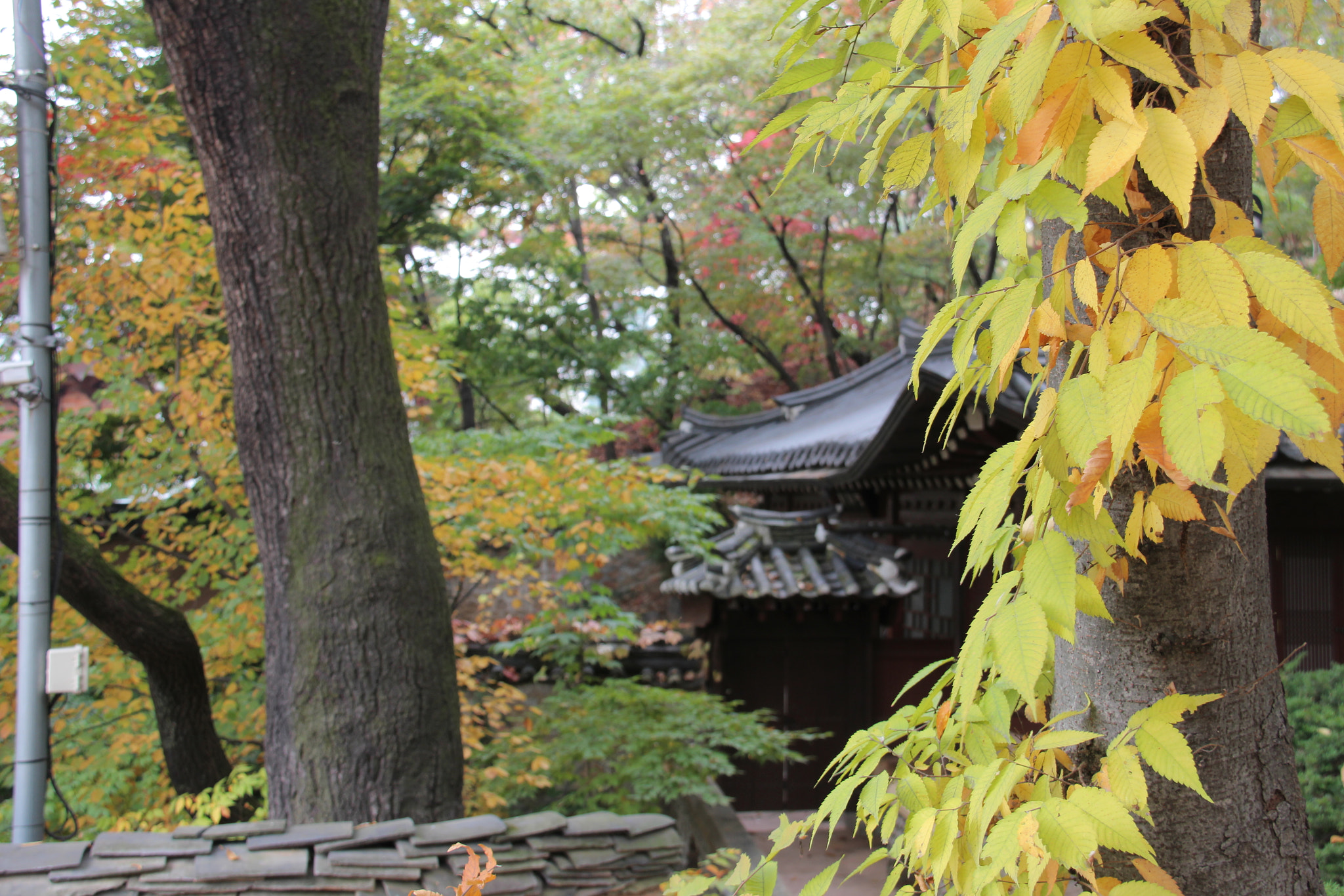Canon EF-S 18-200mm F3.5-5.6 IS sample photo. 아름다운자연````길상사에서 photography