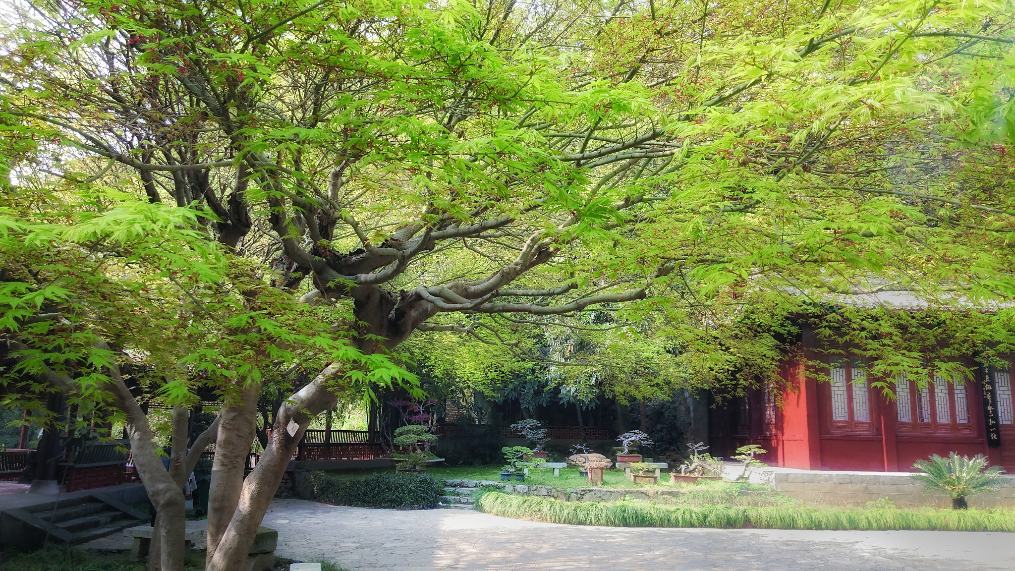 Sony Xperia Z3+ sample photo