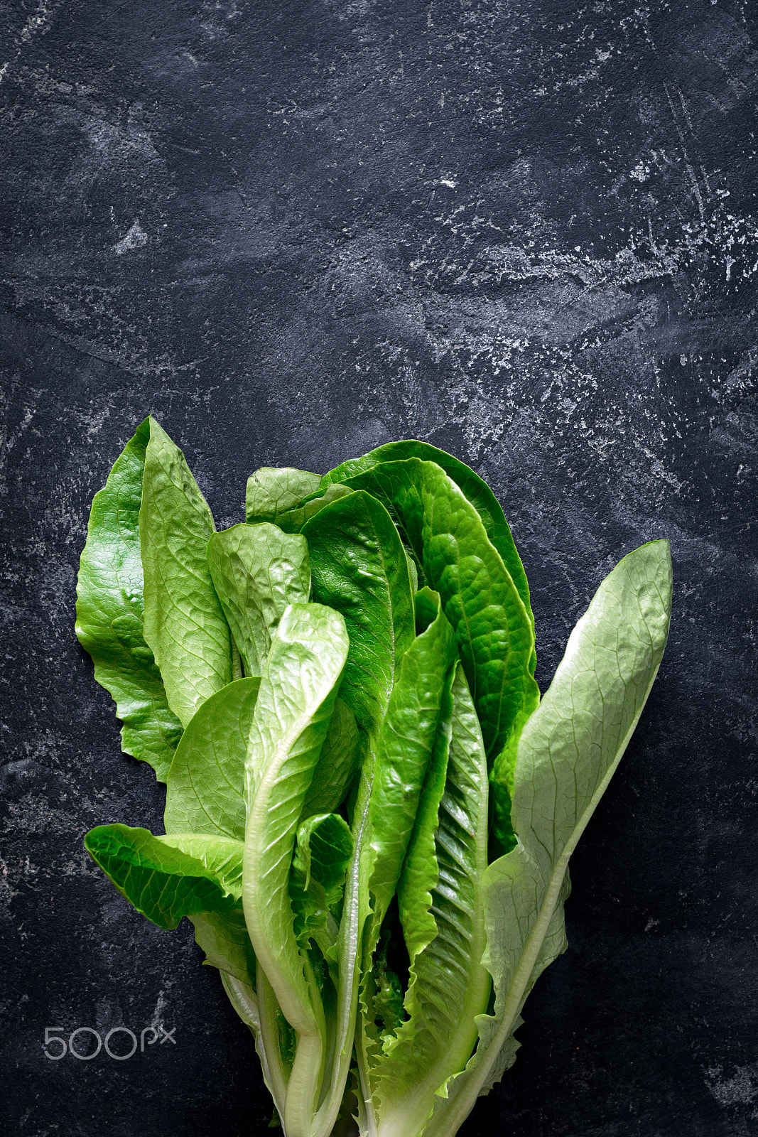 Nikon D7100 + Nikon AF-S Nikkor 50mm F1.4G sample photo. Romaine lettuce photography