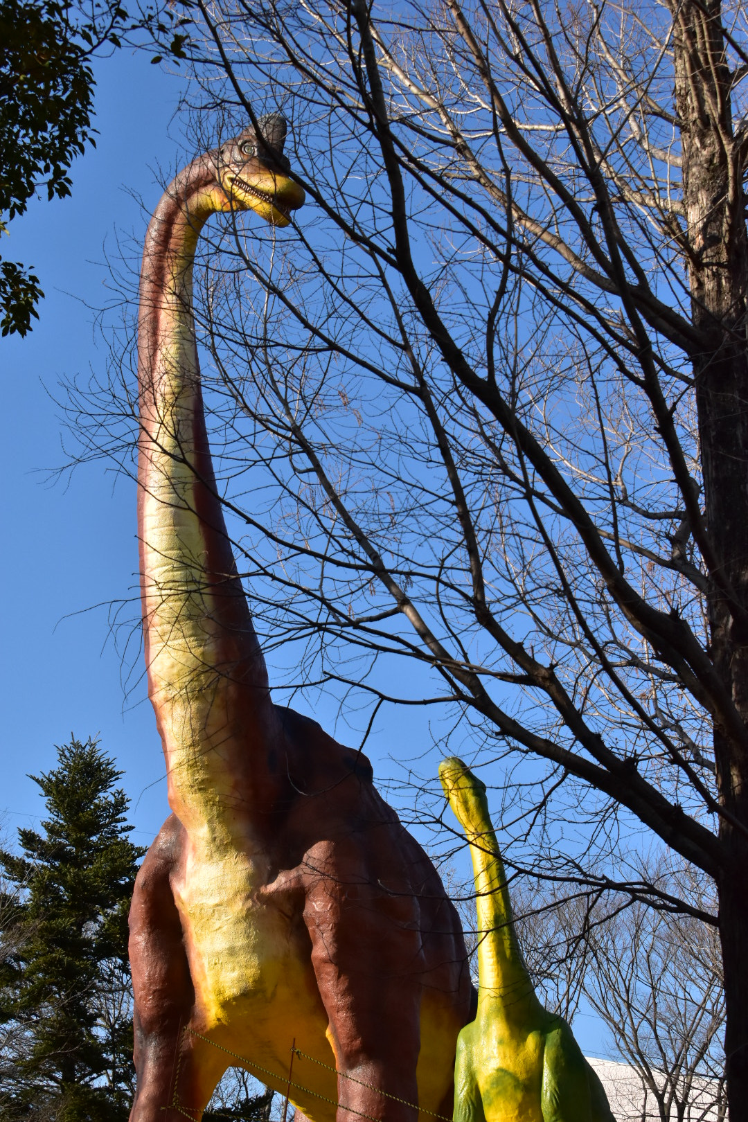 Nikon D5500 sample photo