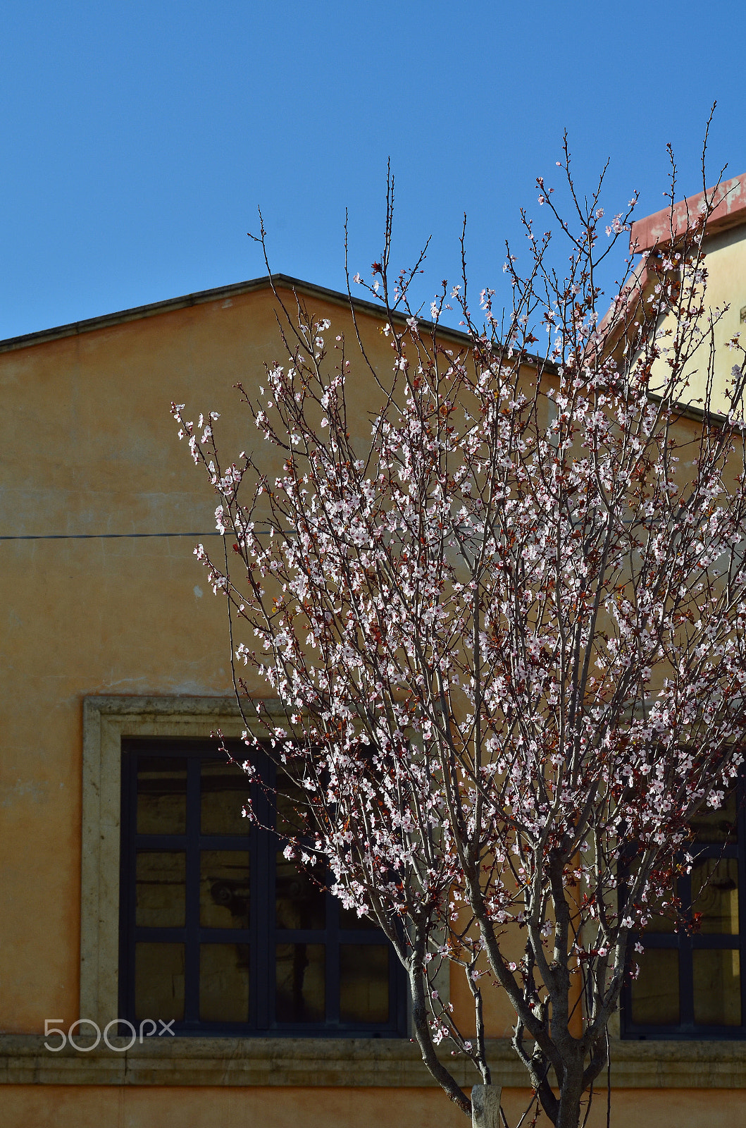 Nikon D5100 sample photo. Spring in town photography