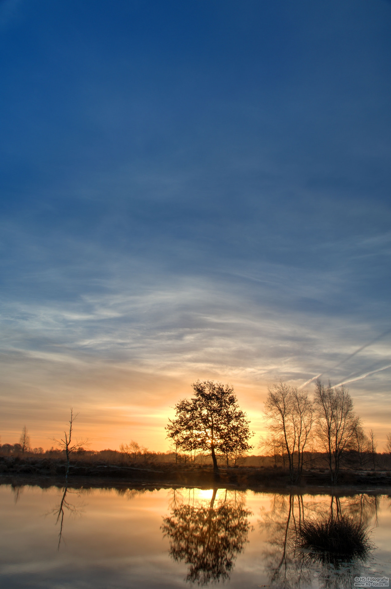Nikon D500 sample photo. Jpg photography