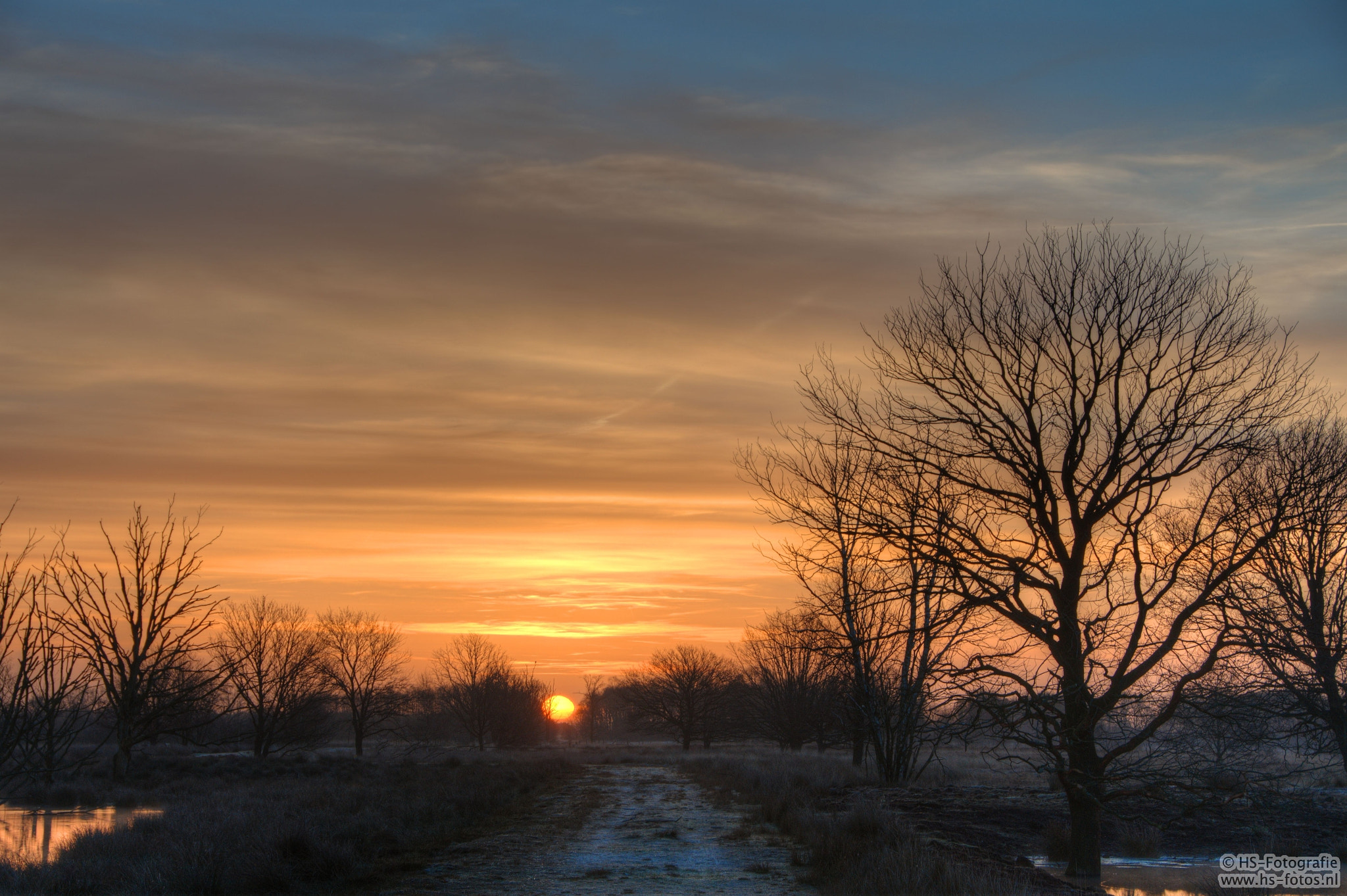 Nikon D500 sample photo. Hsf photography