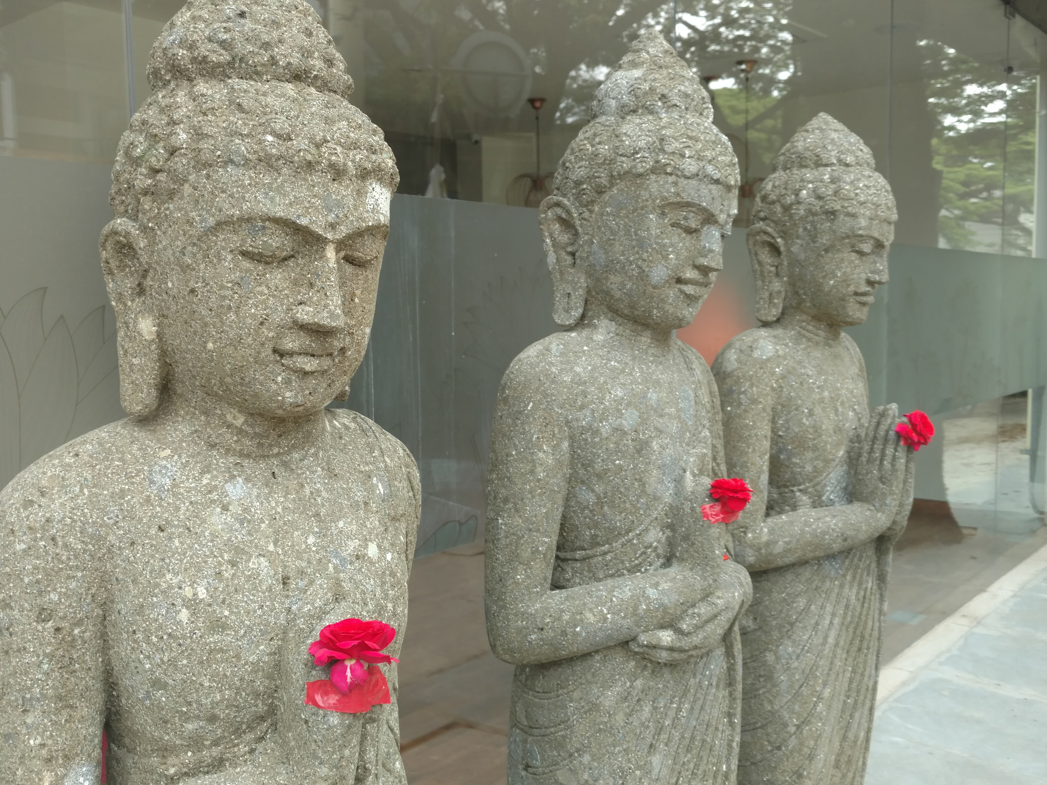Motorola Moto X Style sample photo. Buddha and roses photography