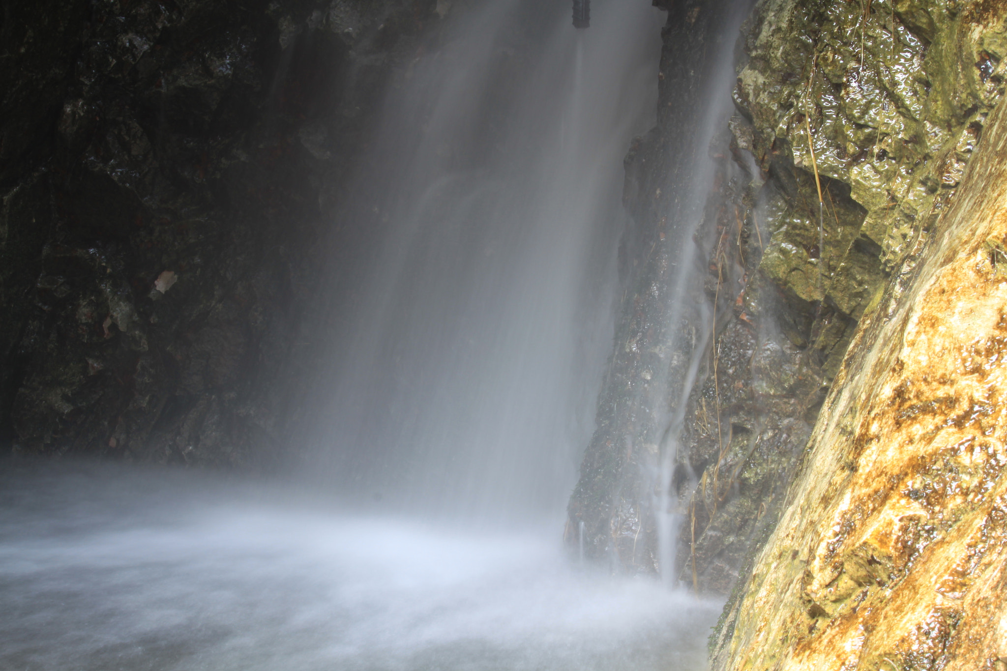 Canon EF-S 55-250mm F4-5.6 IS STM sample photo