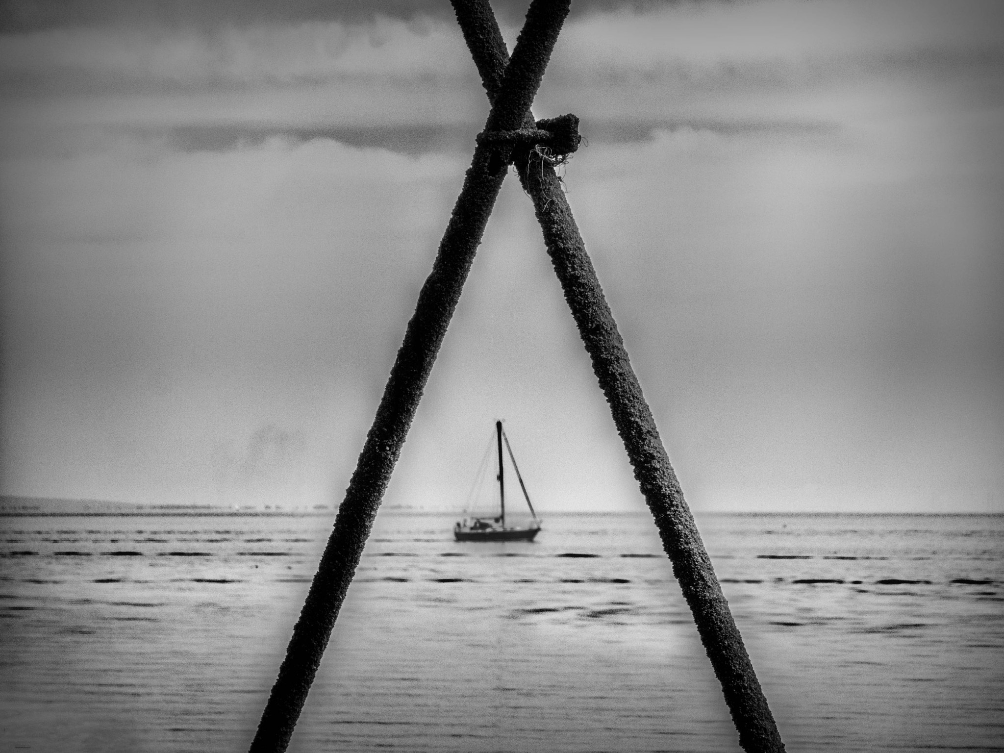 Leica C (Typ 112) sample photo. Triangulate photography
