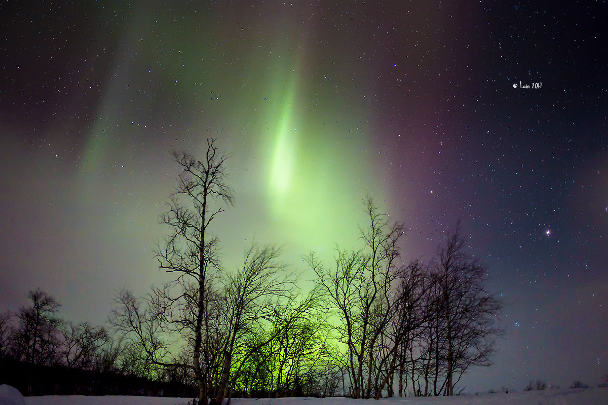 Canon EF 35mm F2 IS USM sample photo. Finnland aurora photography