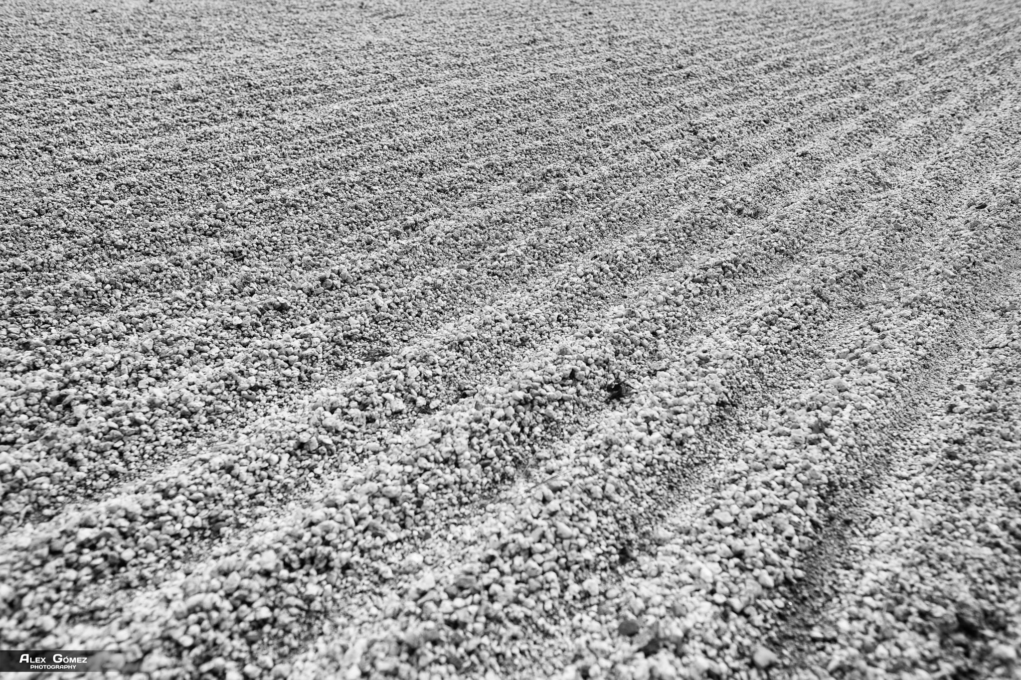 Fujifilm XF 16mm F1.4 R WR sample photo. Zen garden lines photography